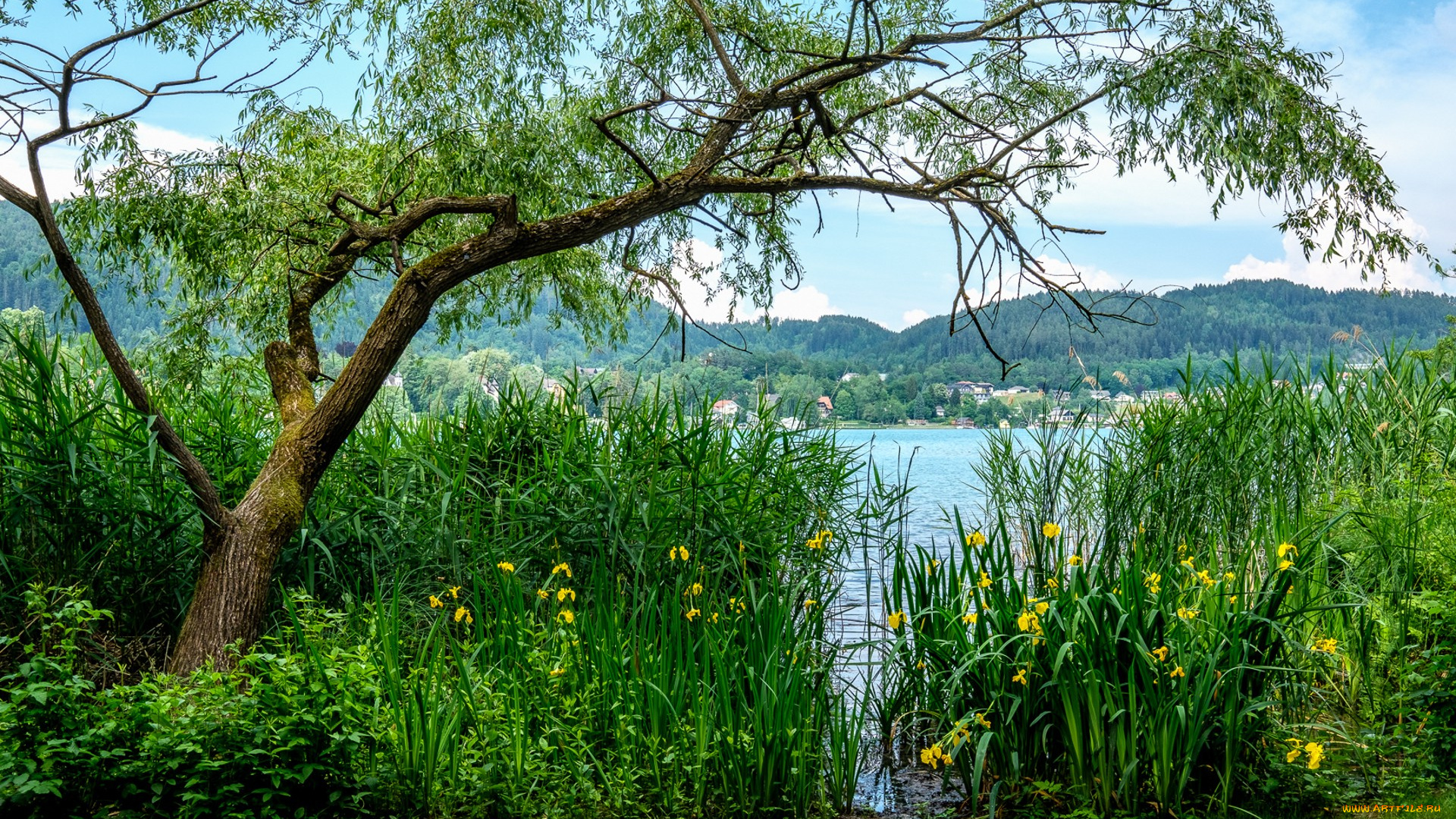 природа, реки, озера, простор