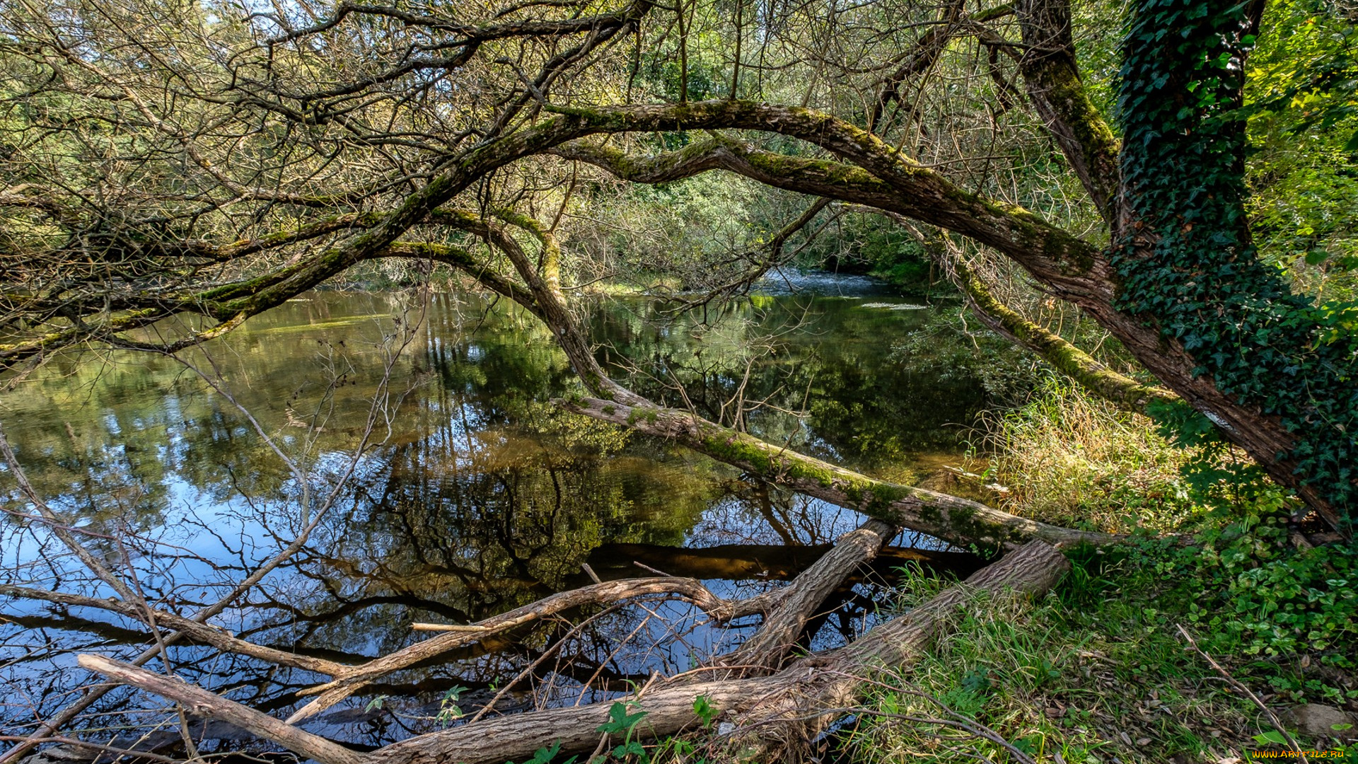 природа, реки, озера, простор