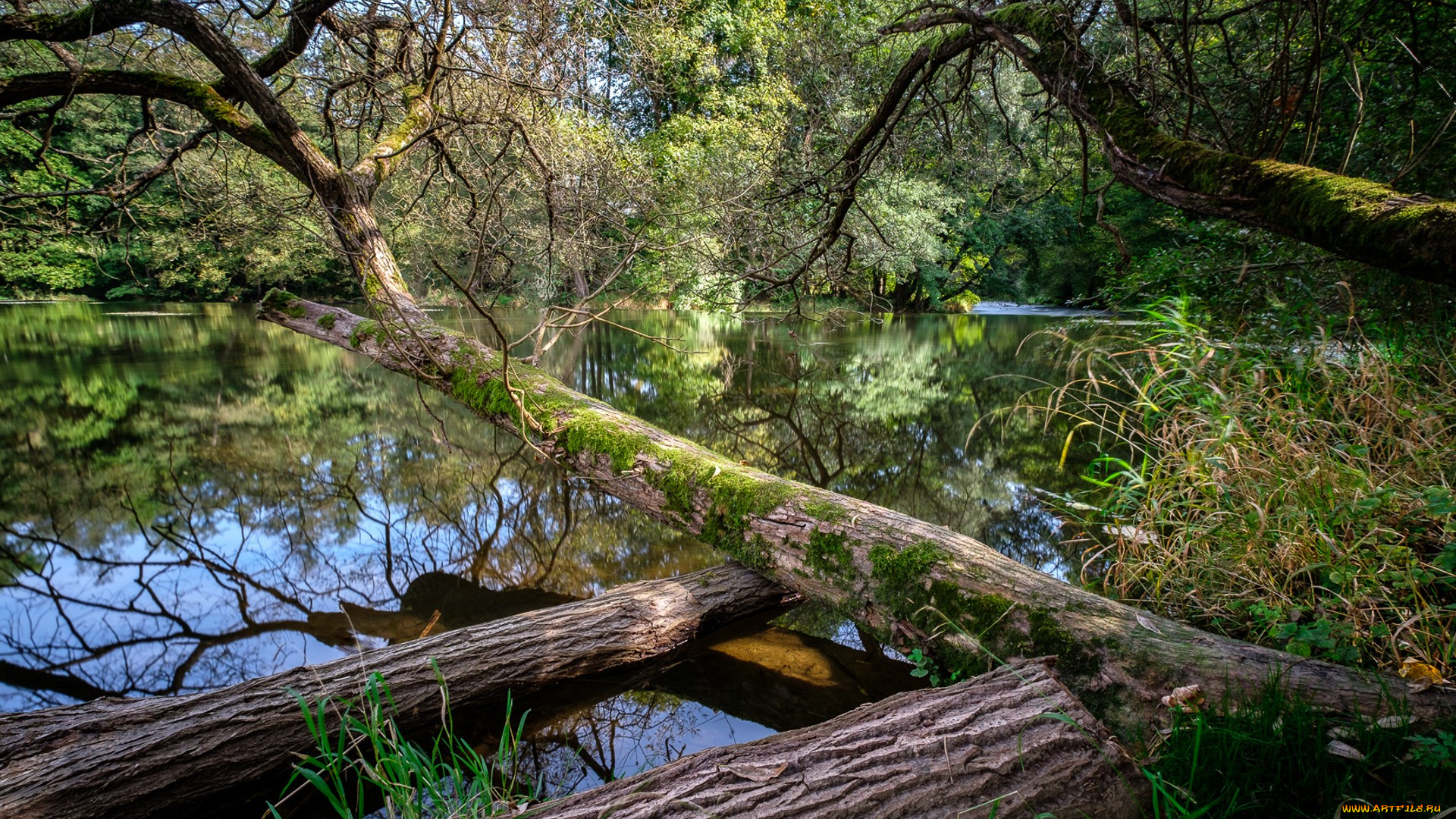 природа, реки, озера, простор