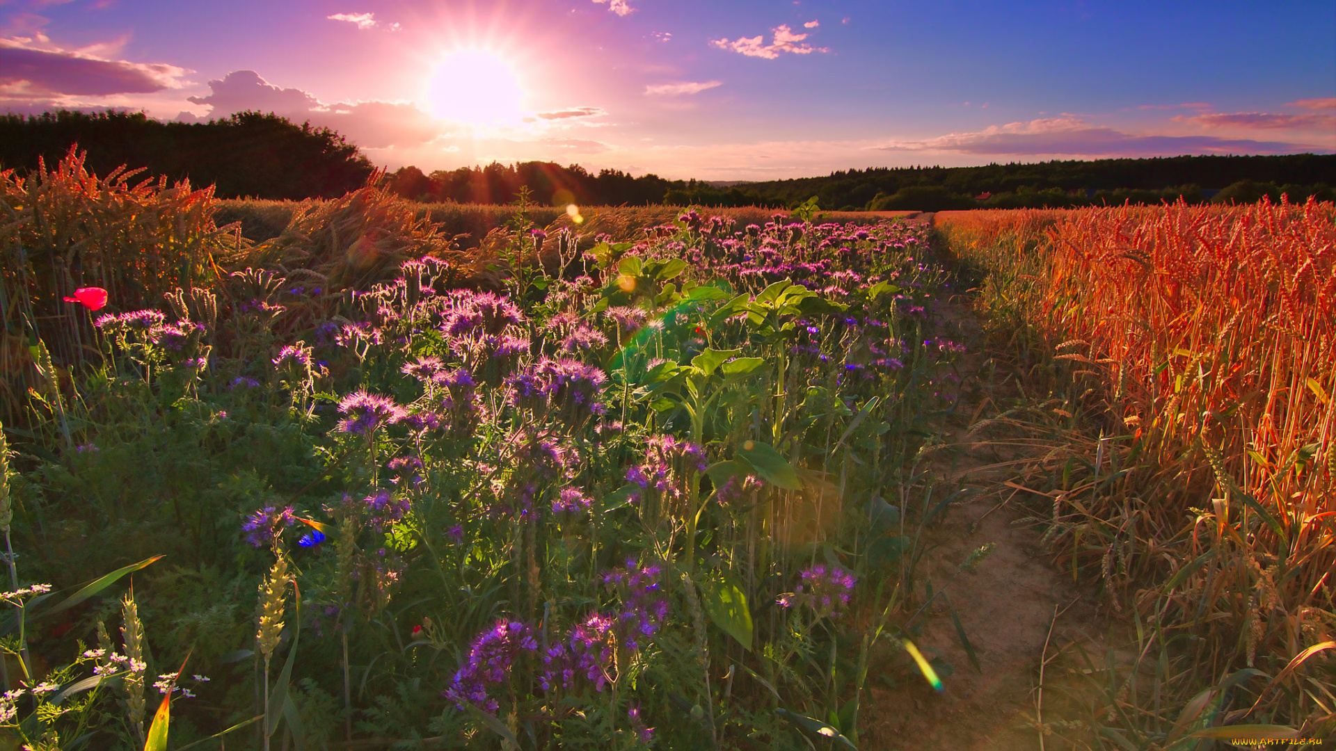 природа, восходы, закаты, простор