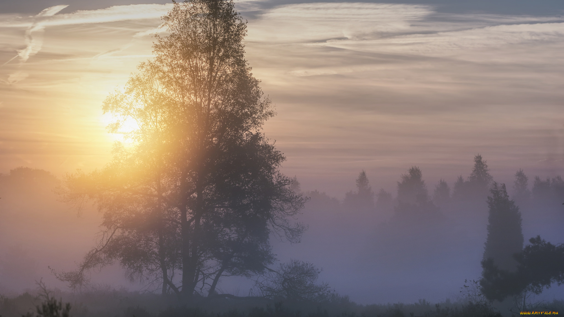 природа, восходы, закаты, простор