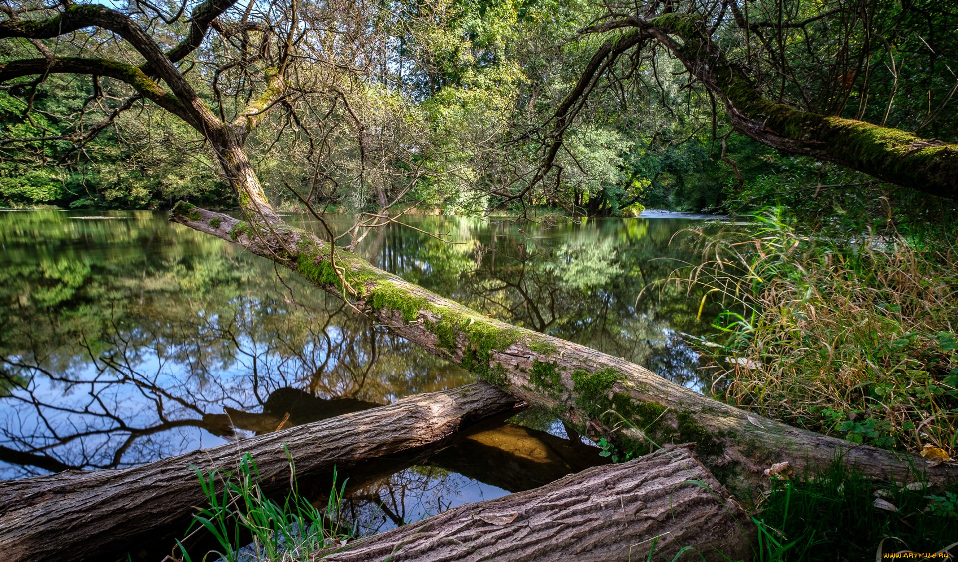 природа, реки, озера, простор