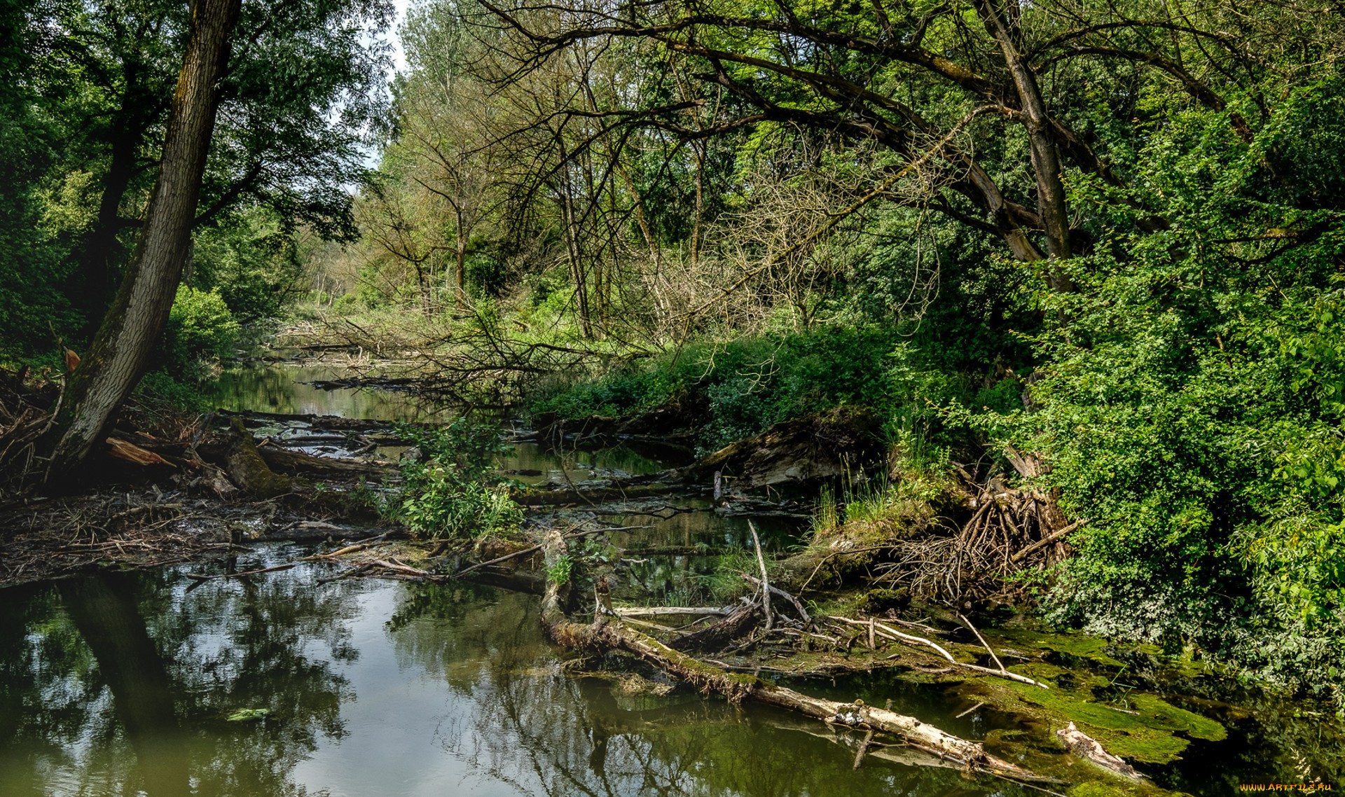 природа, реки, озера, простор