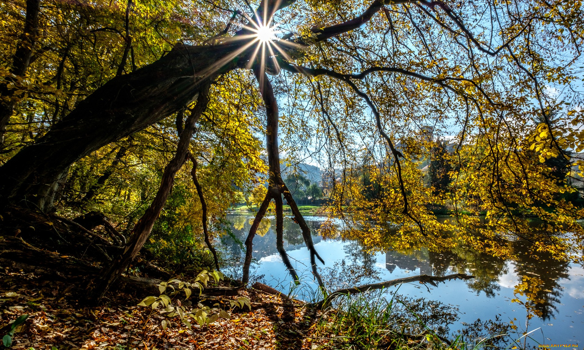 природа, реки, озера, простор