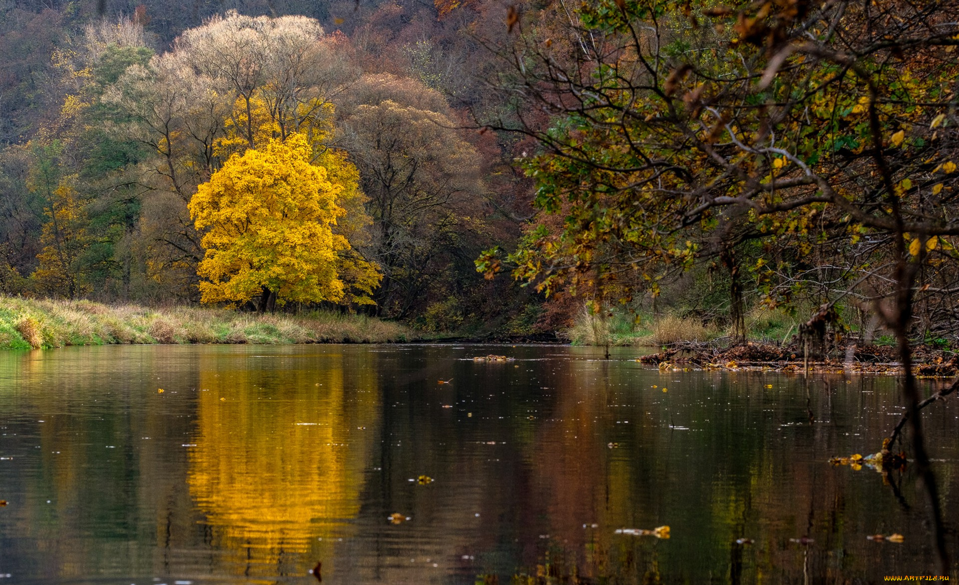 природа, реки, озера, простор