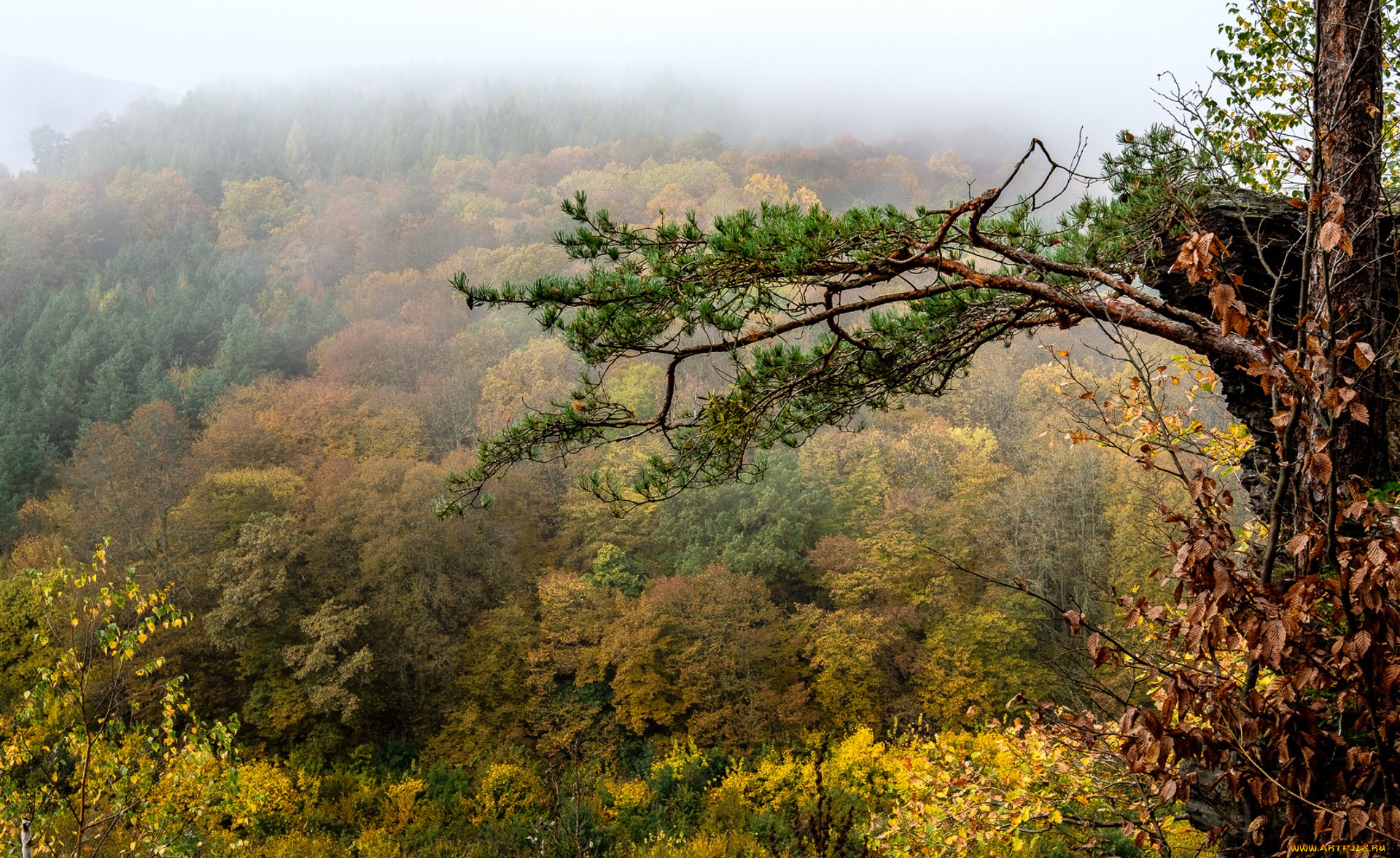 природа, пейзажи, простор