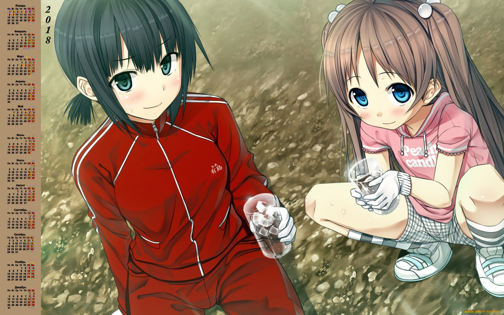 календари, аниме, стакан, взгляд, 2018, двое, девочка