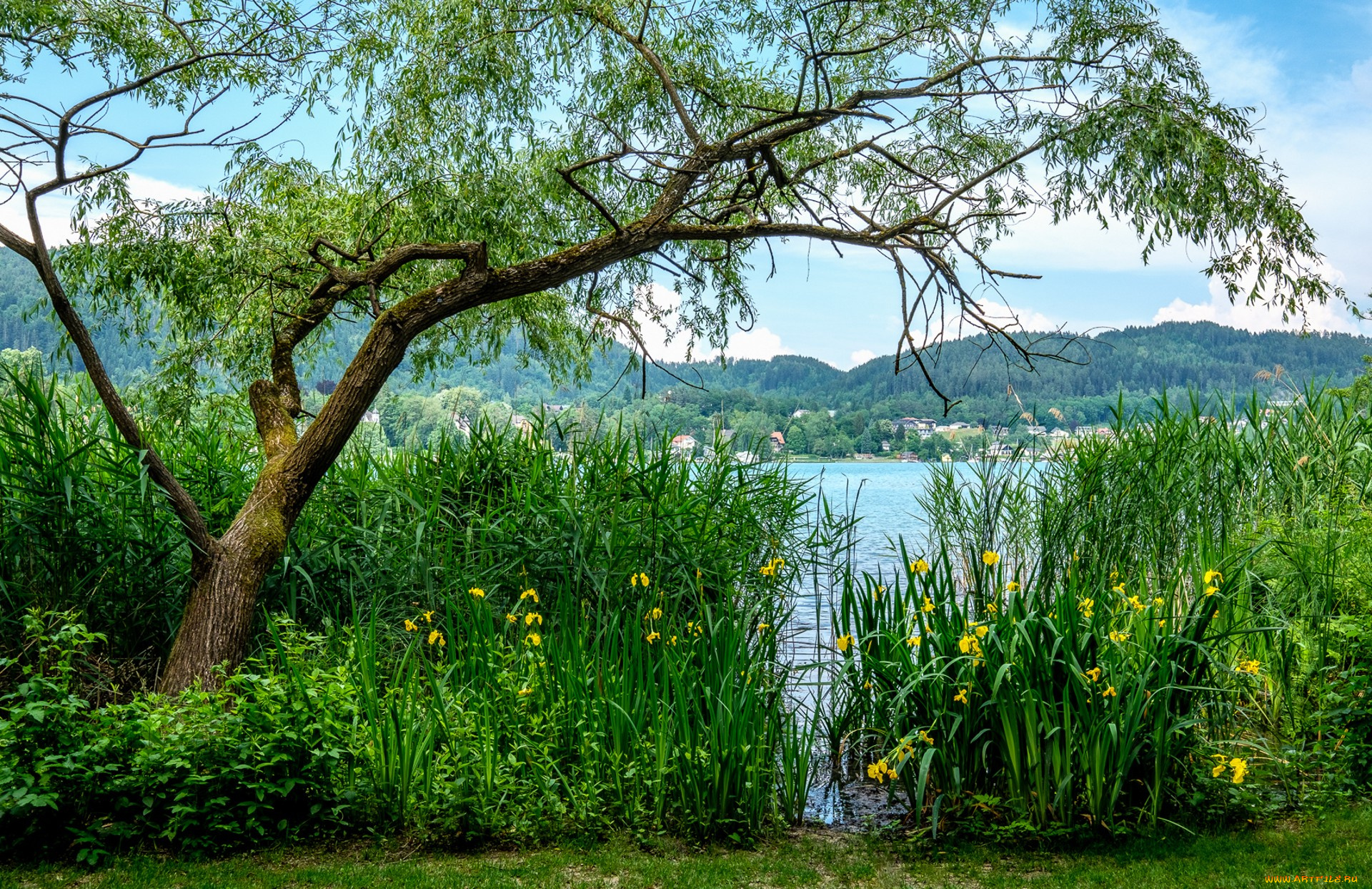 природа, реки, озера, простор