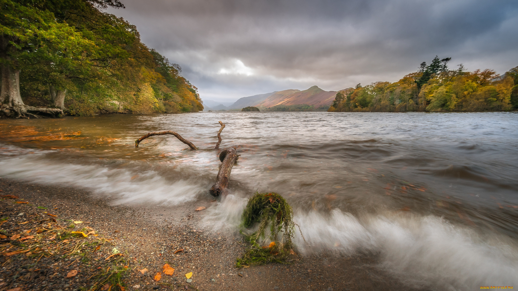 природа, реки, озера, простор