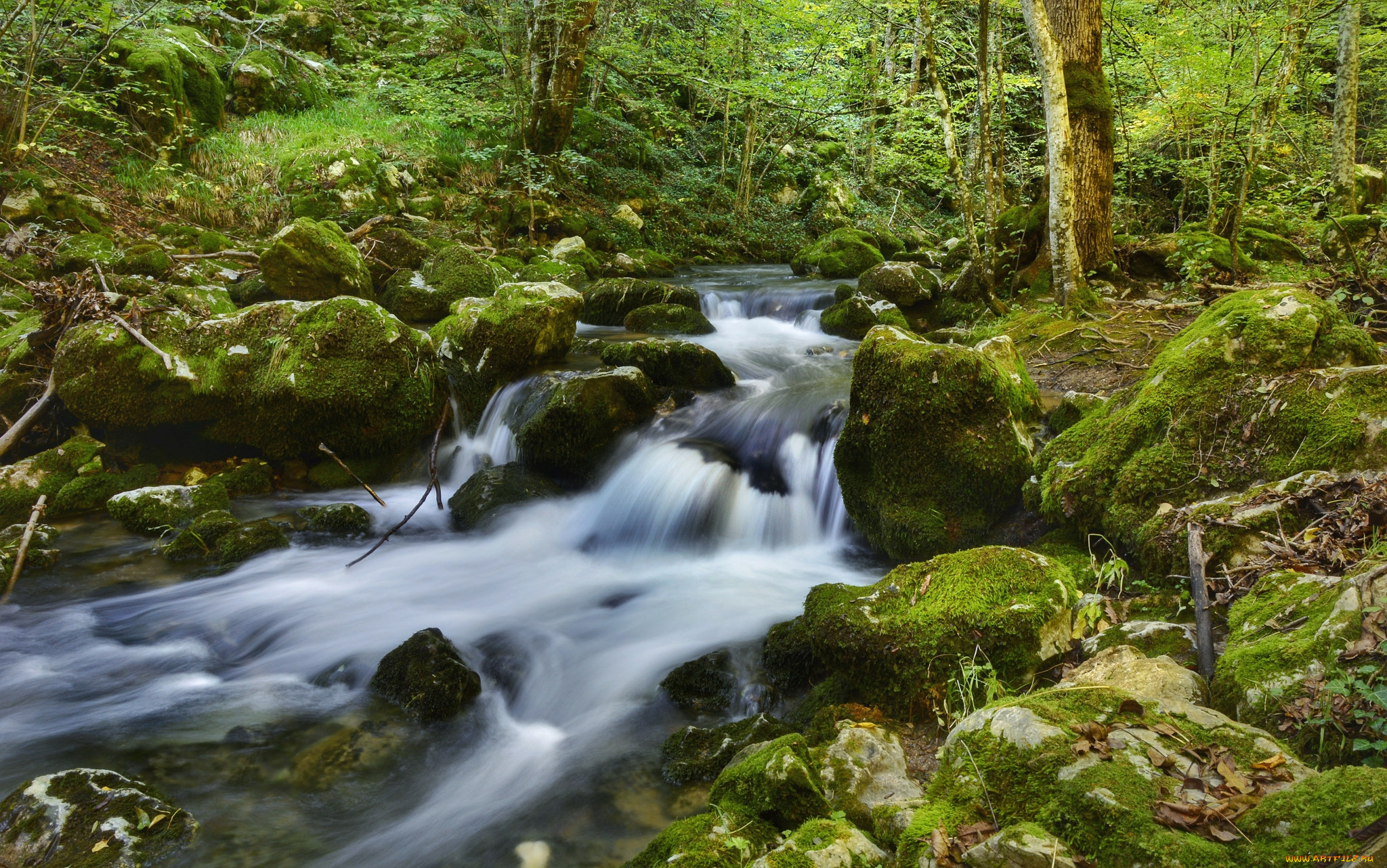 природа, реки, озера, простор