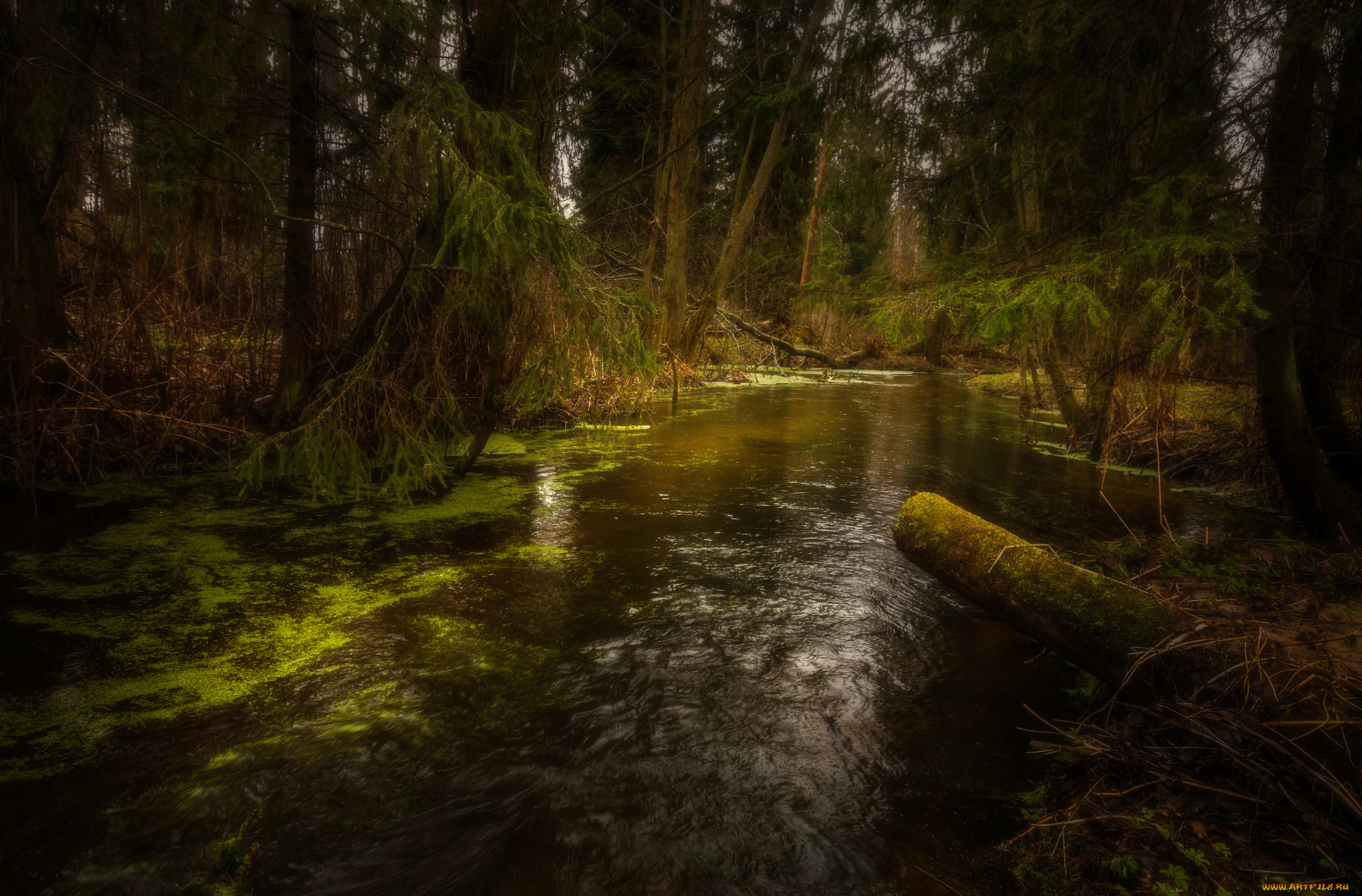 природа, реки, озера, простор