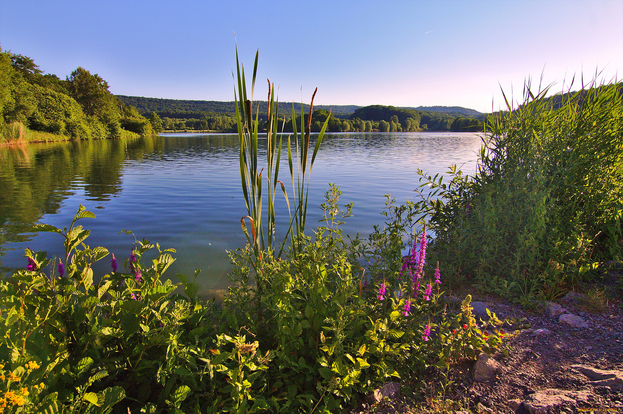 природа, реки, озера, простор