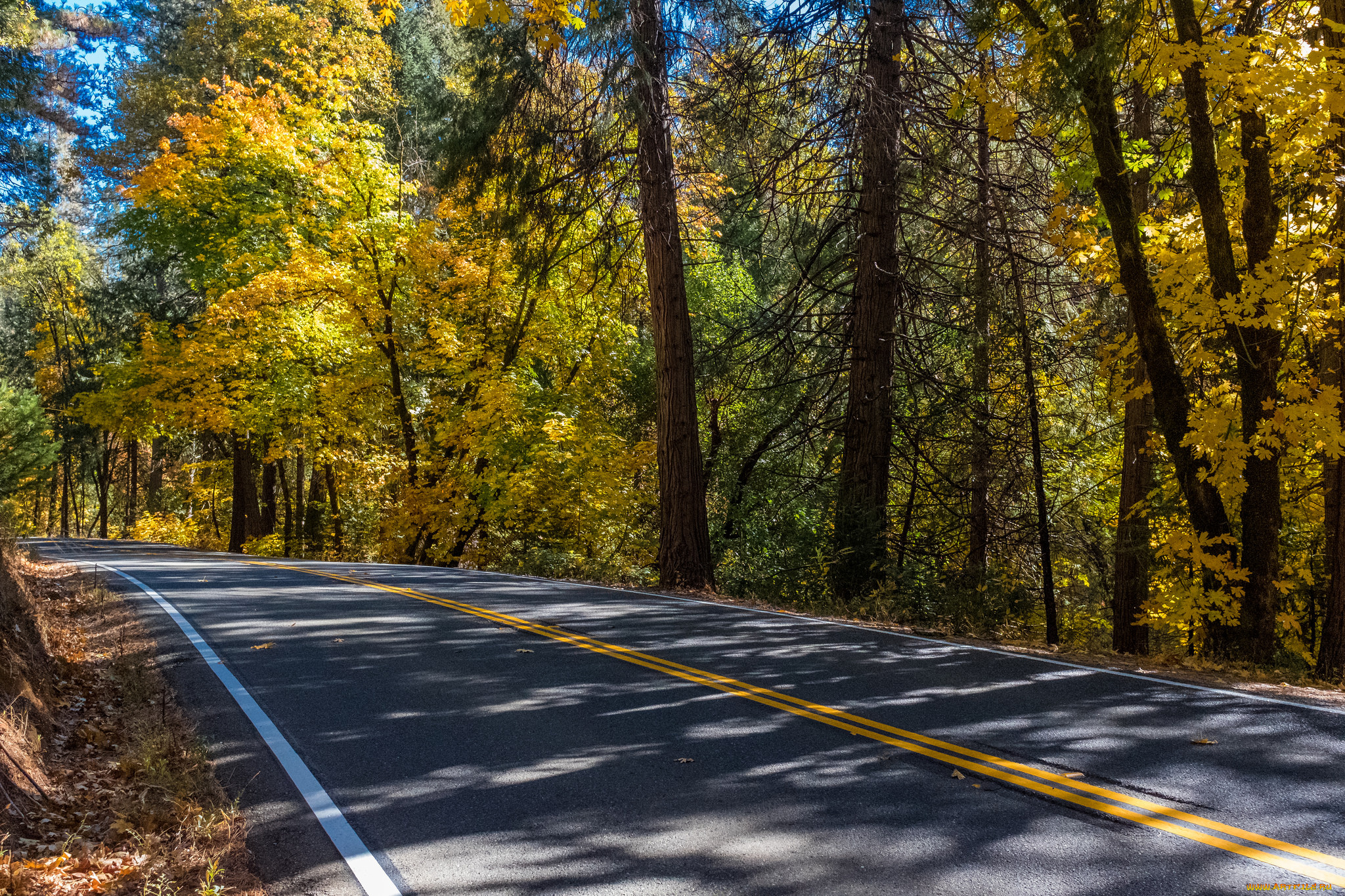 природа, дороги, простор