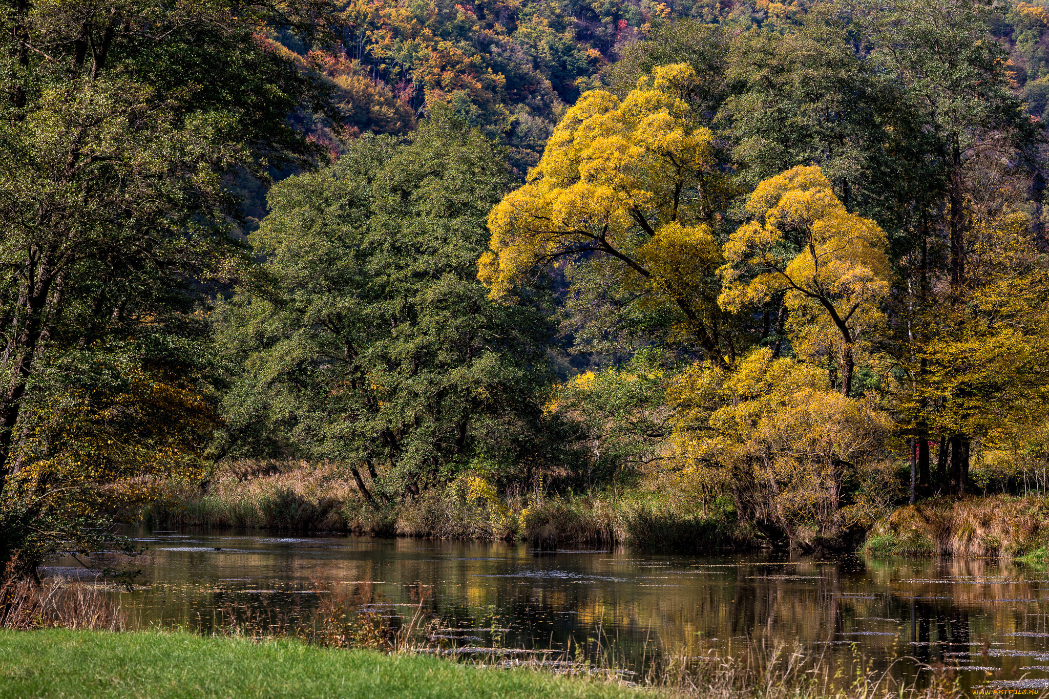 природа, реки, озера, простор