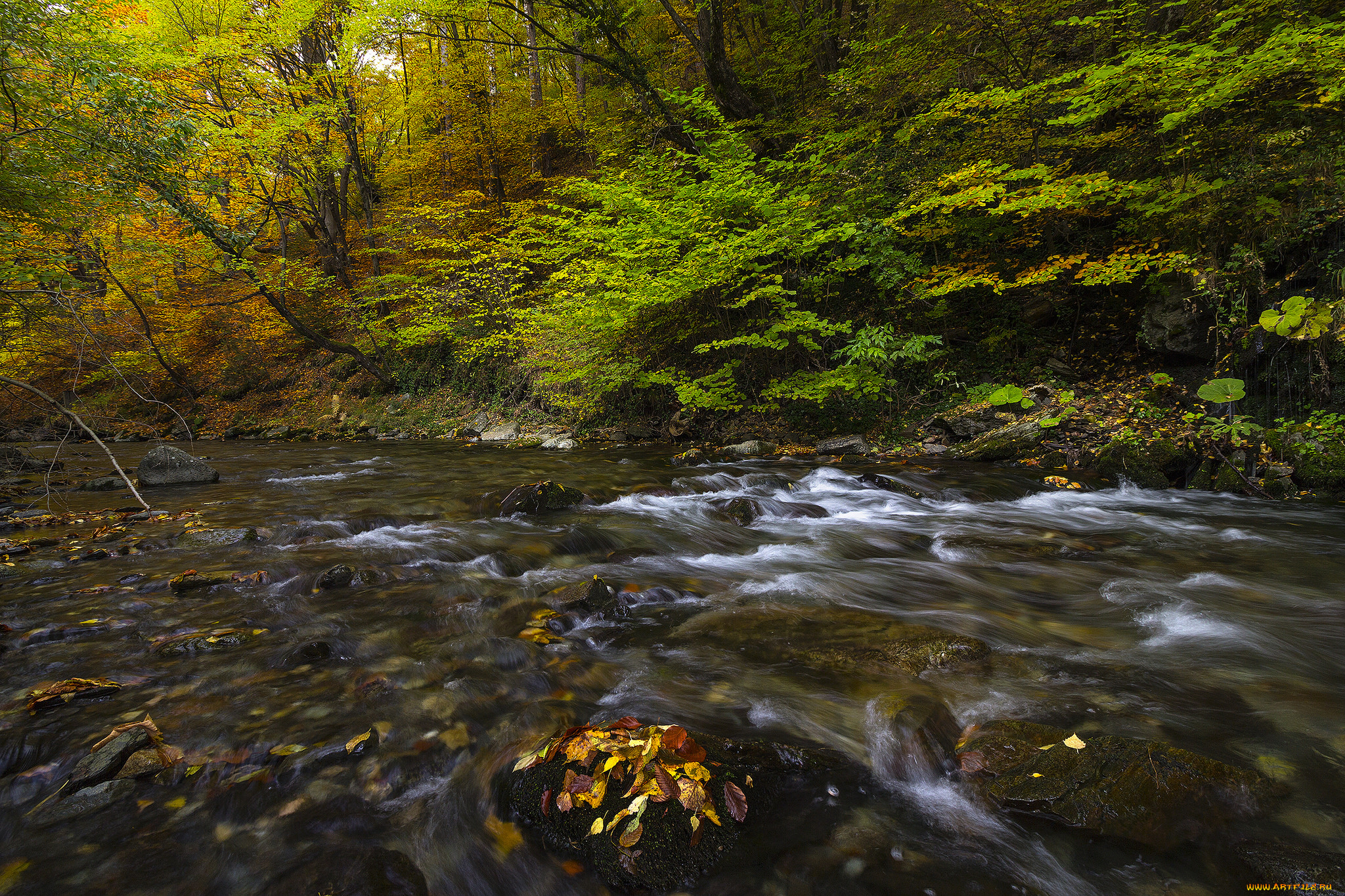 природа, реки, озера, простор