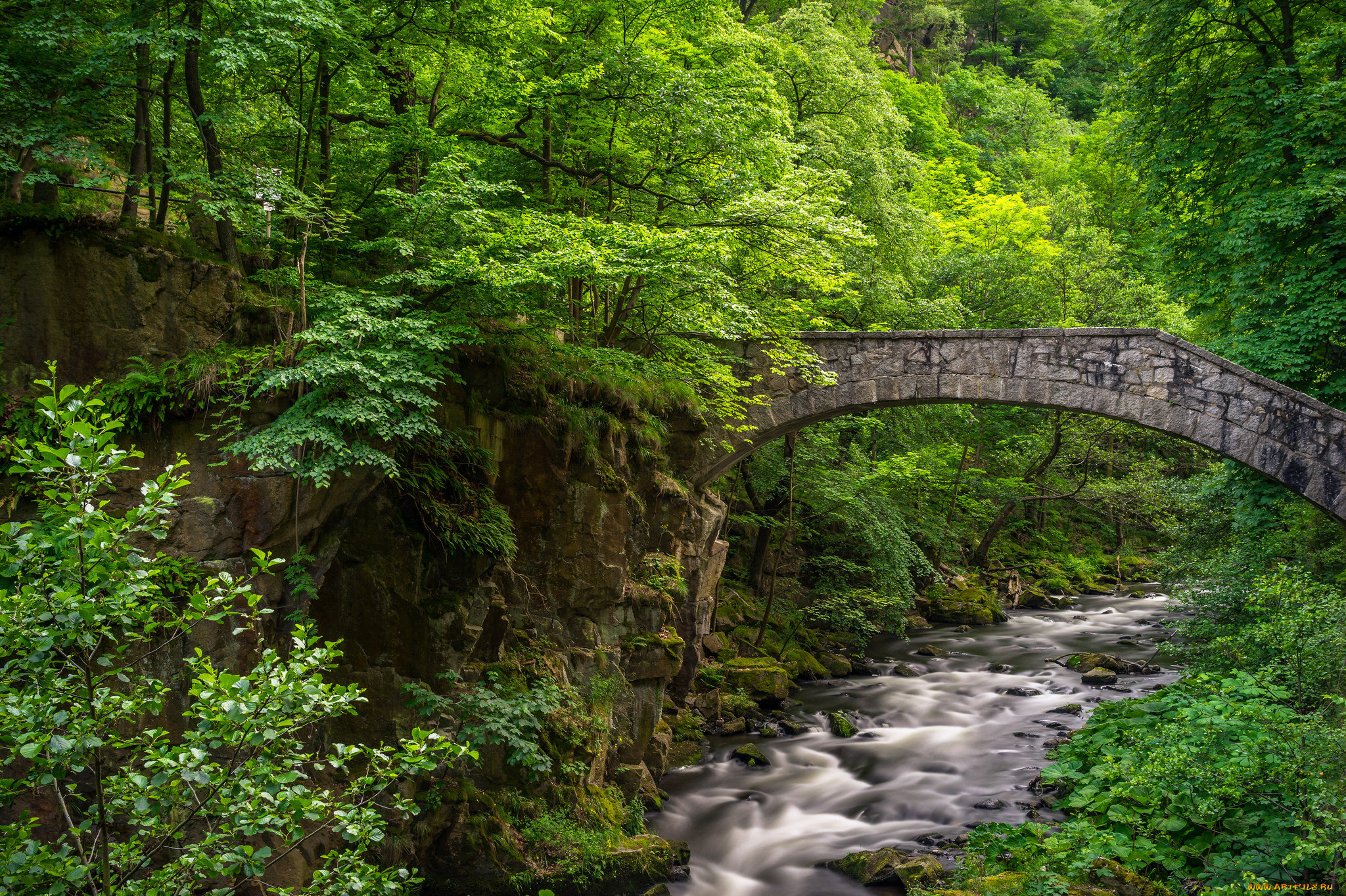 природа, реки, озера, простор