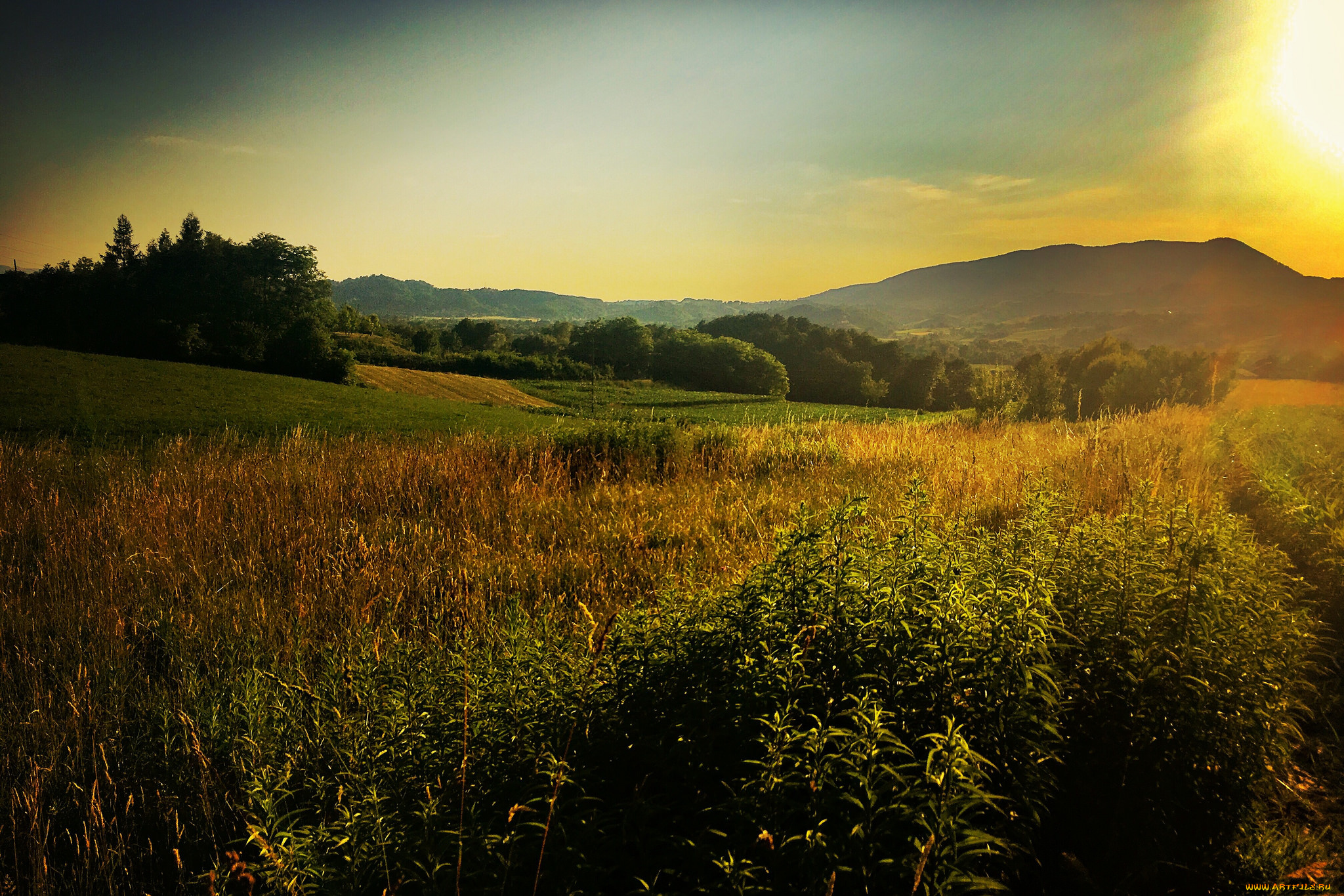 природа, пейзажи, простор