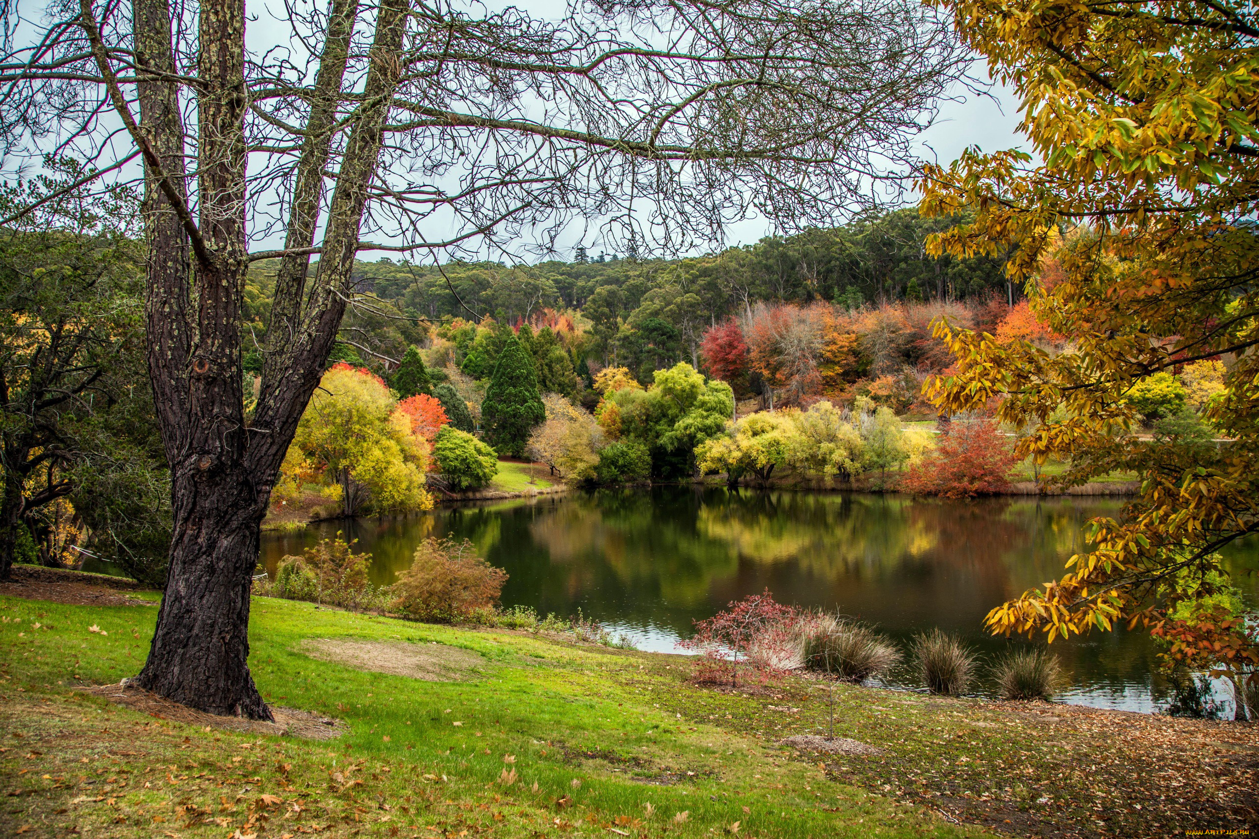 природа, реки, озера, осень, река, отражение