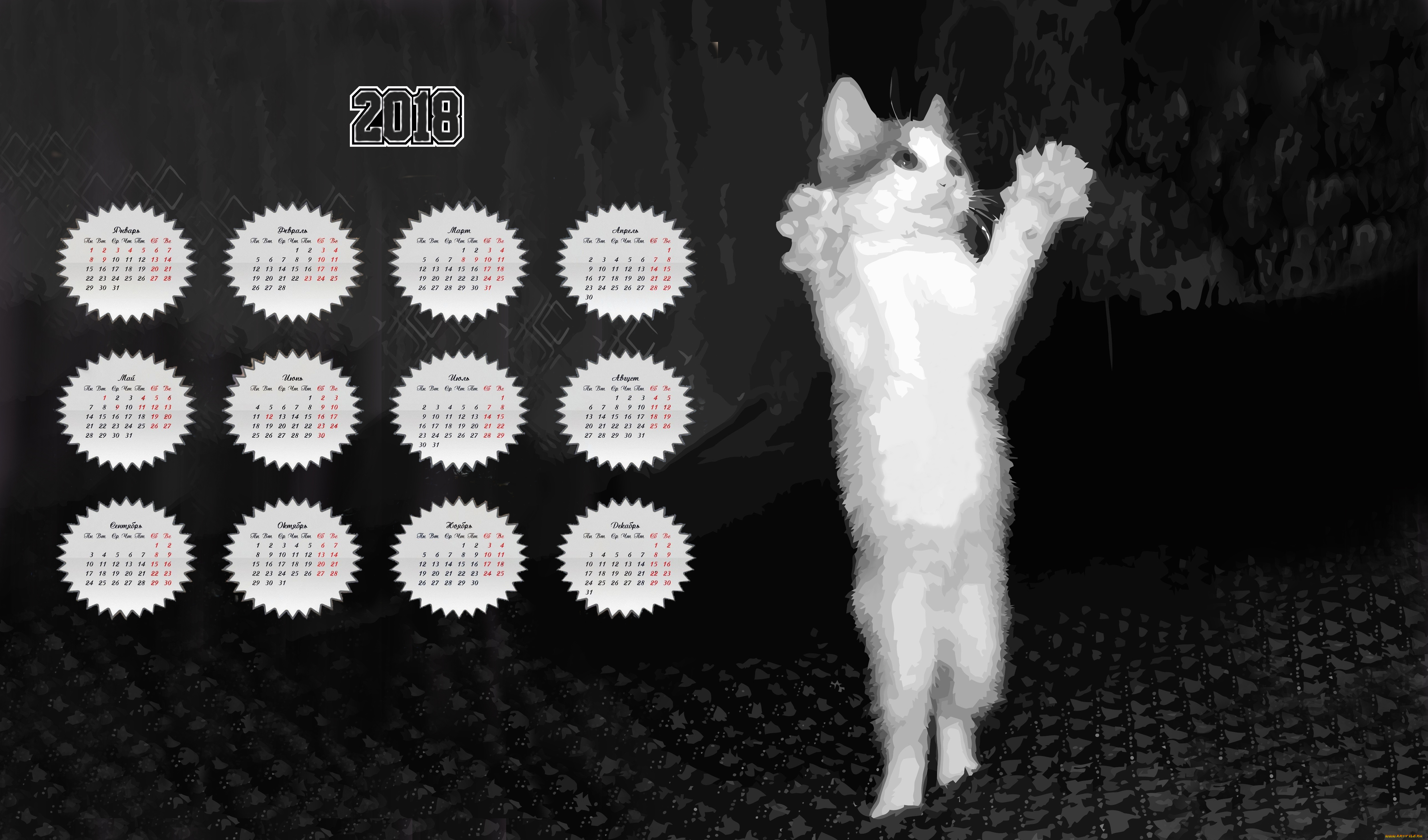 календари, рисованные, , векторная, графика, кошка, 2018