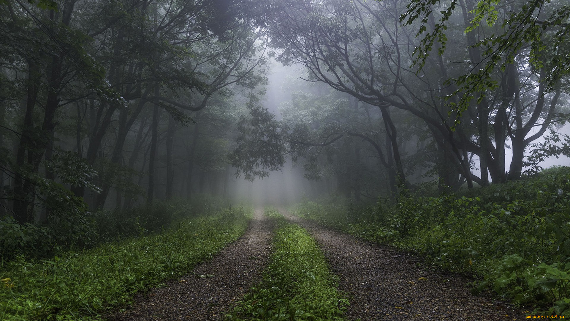 природа, дороги, простор