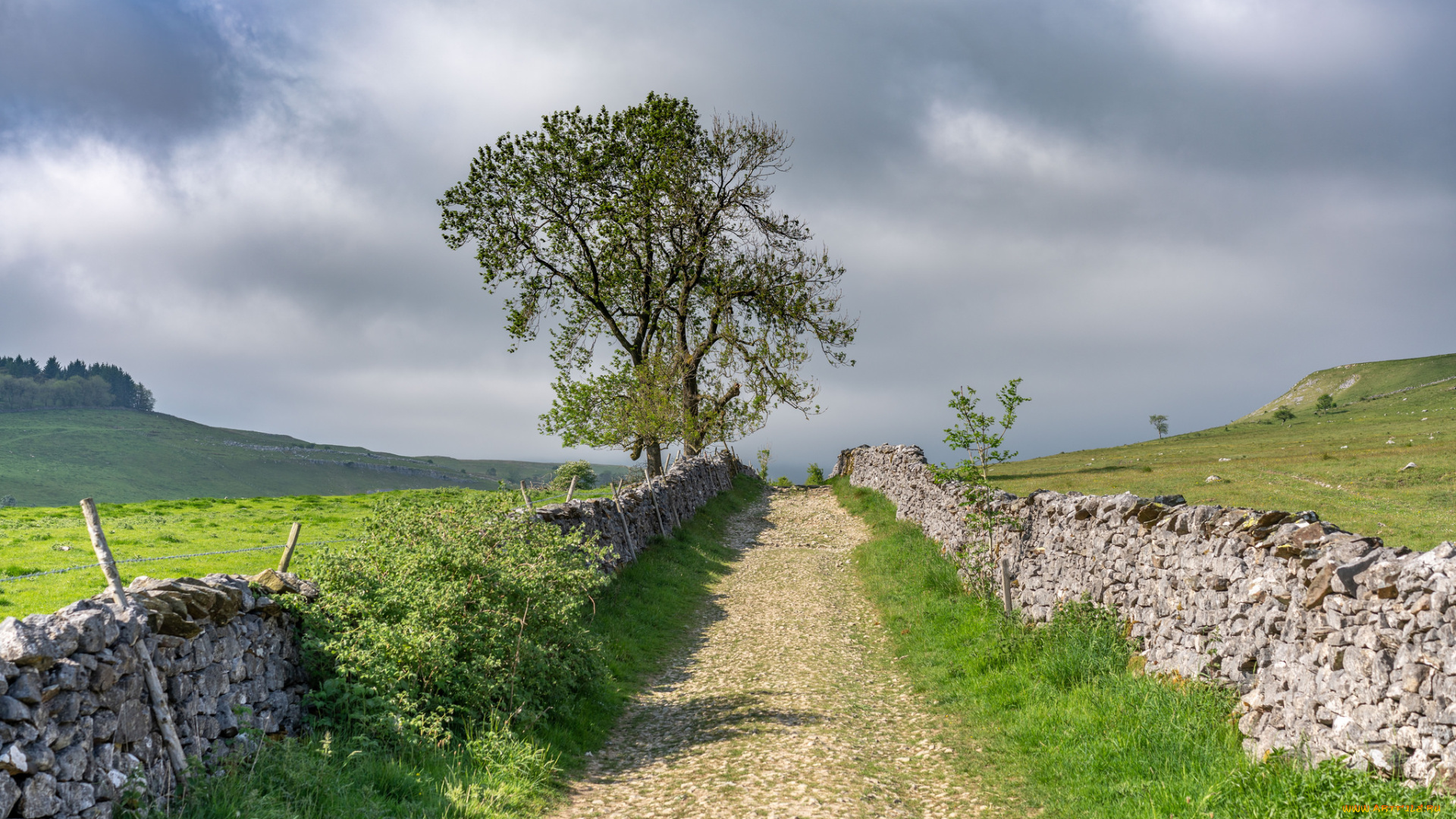 природа, дороги, простор