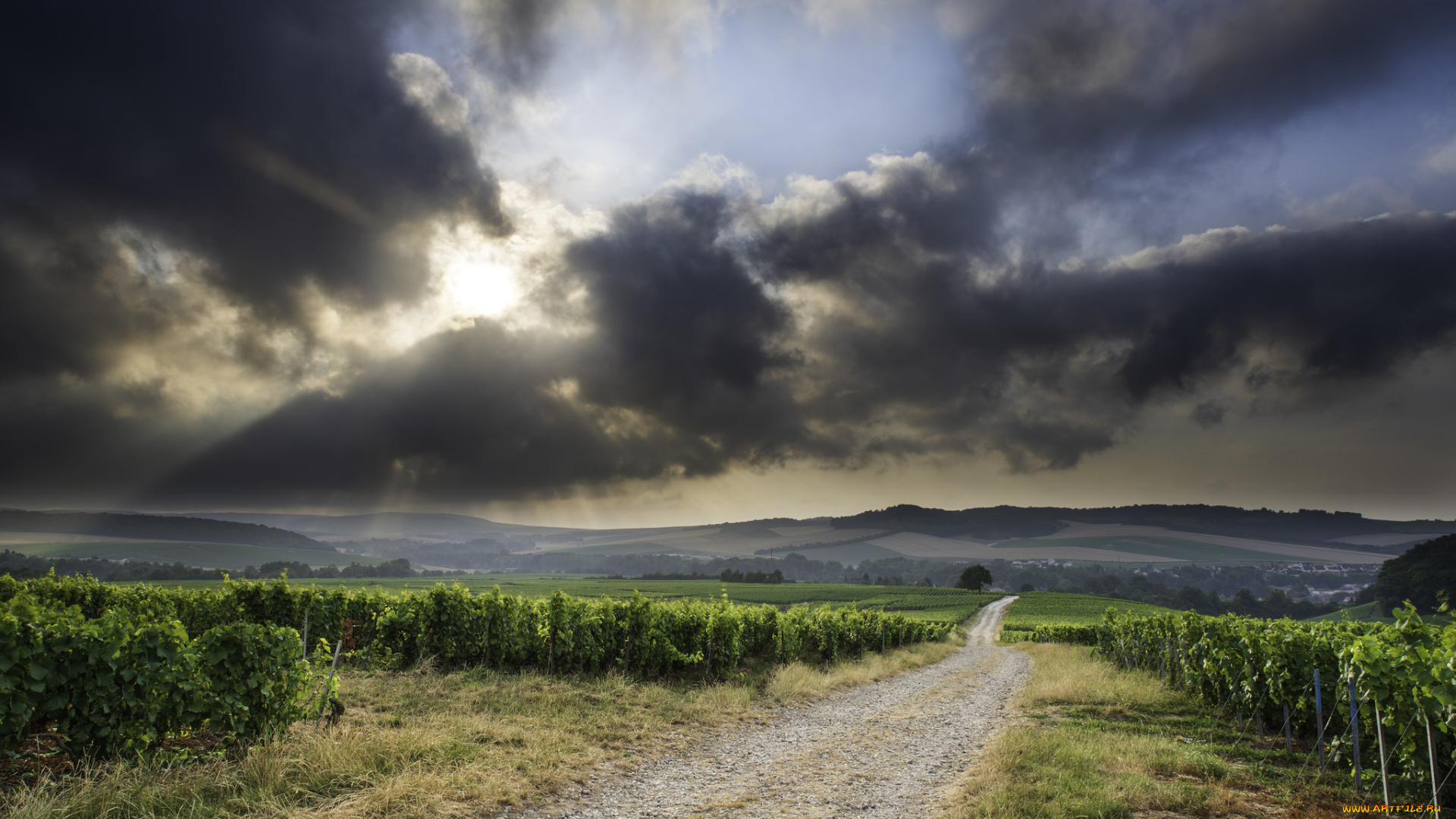 природа, дороги, простор