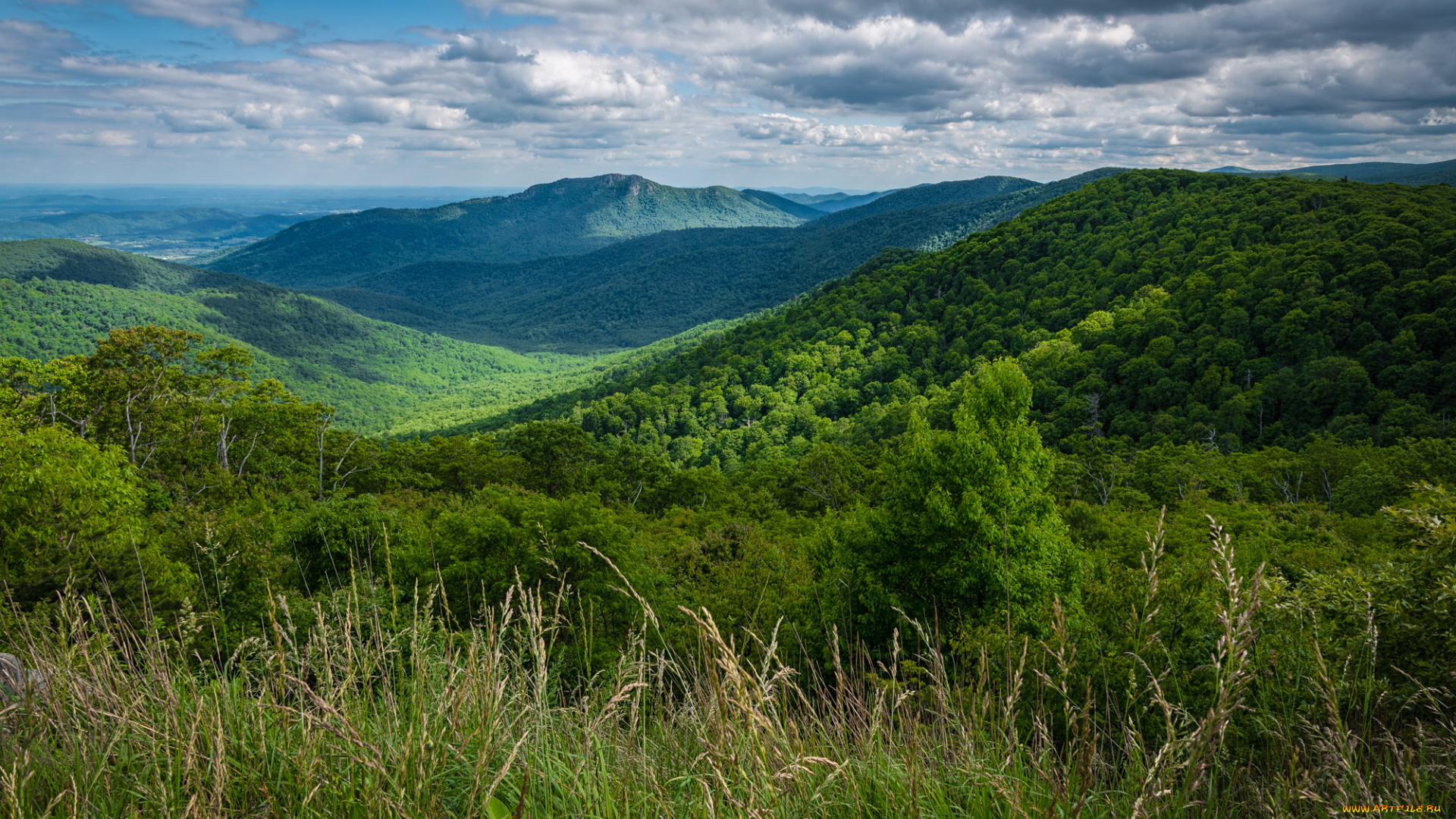 природа, пейзажи, простор