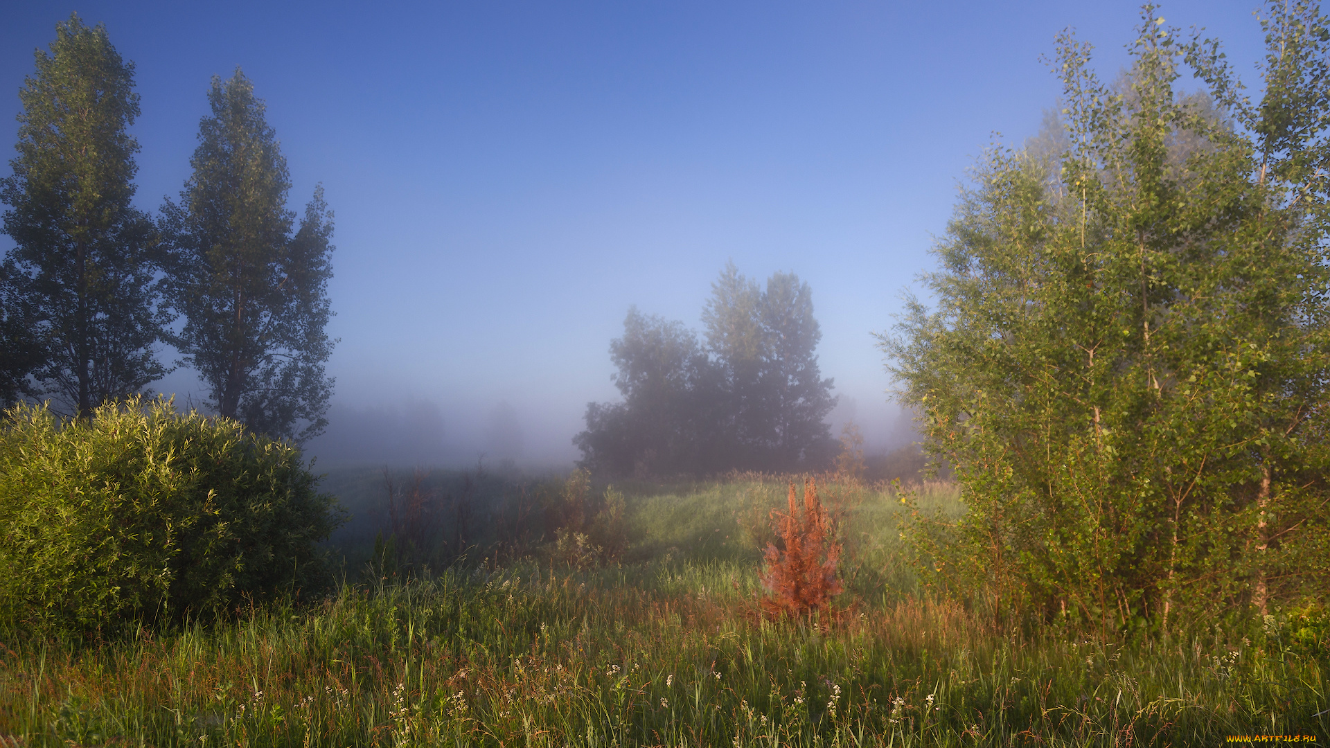 природа, пейзажи, простор