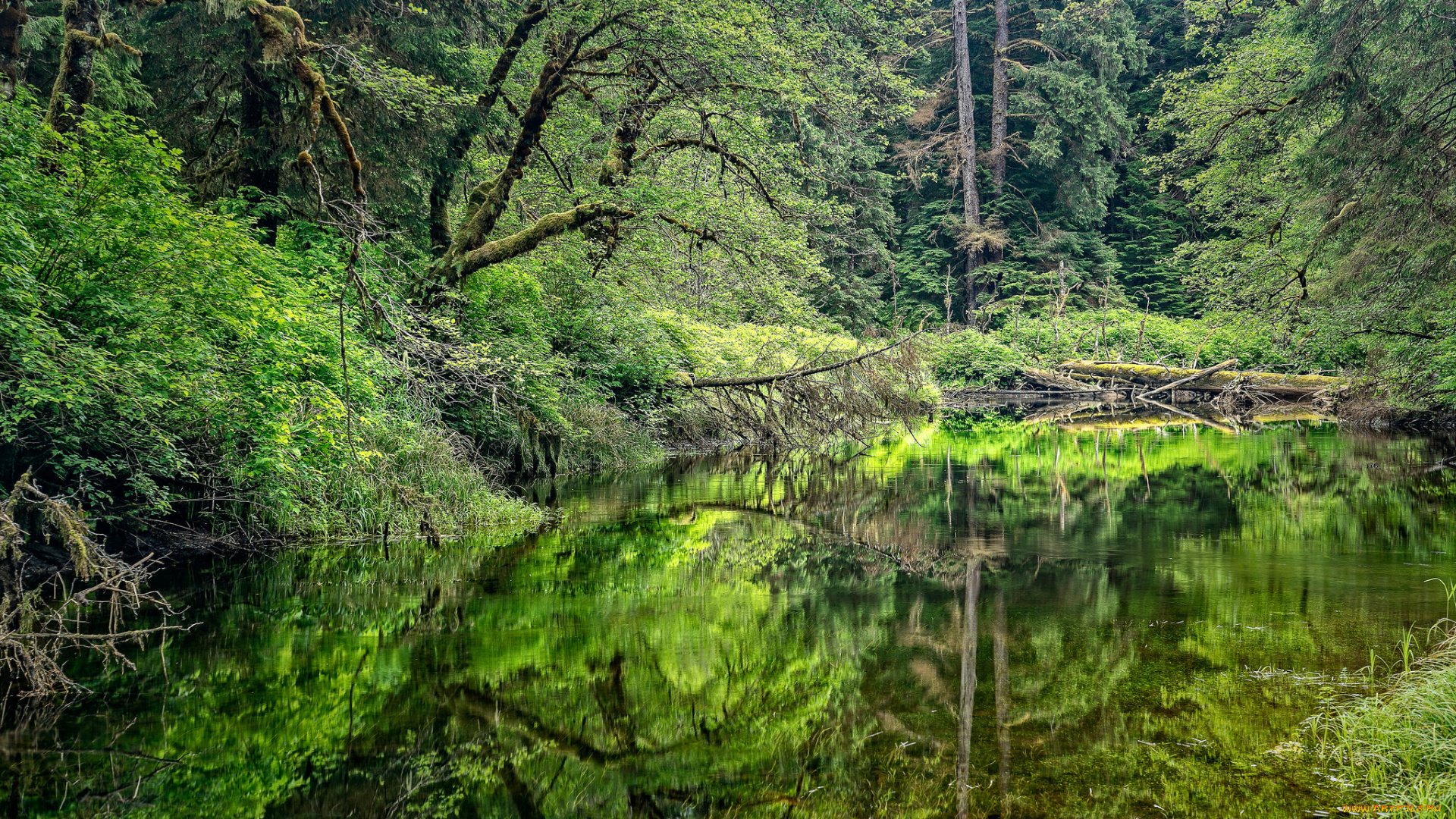 природа, реки, озера, простор