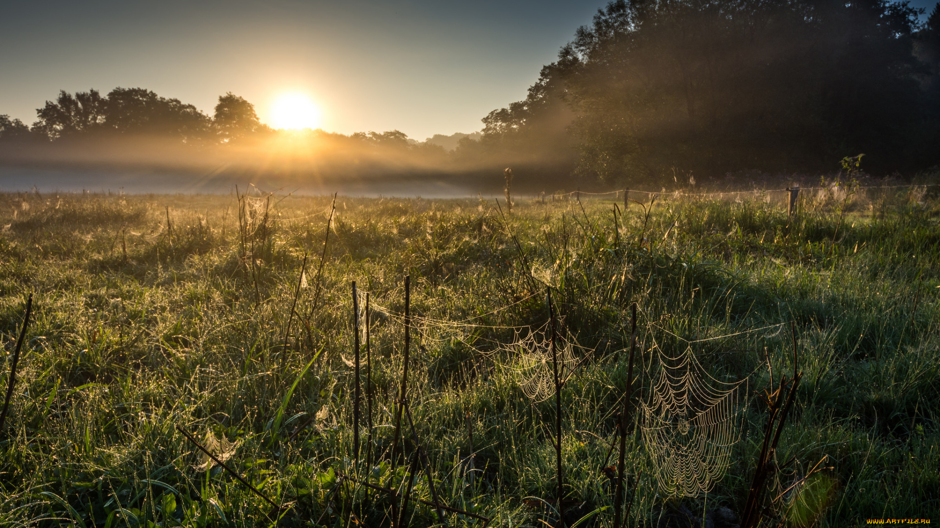 природа, восходы, закаты, простор