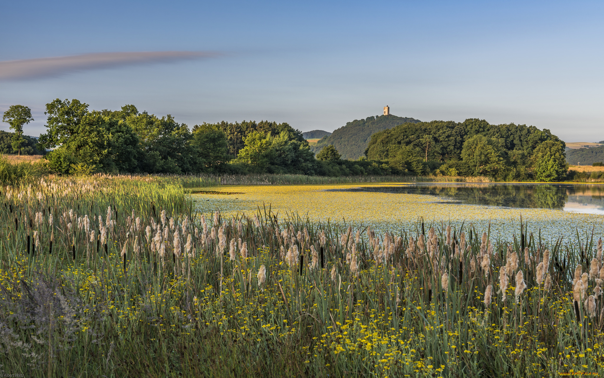 природа, реки, озера, простор