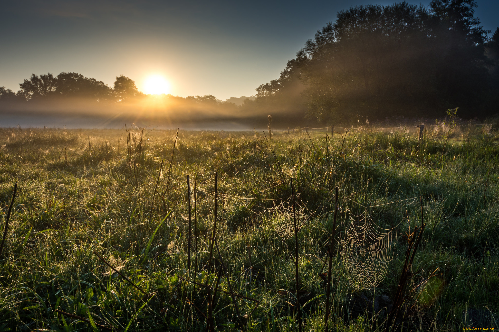 природа, восходы, закаты, простор