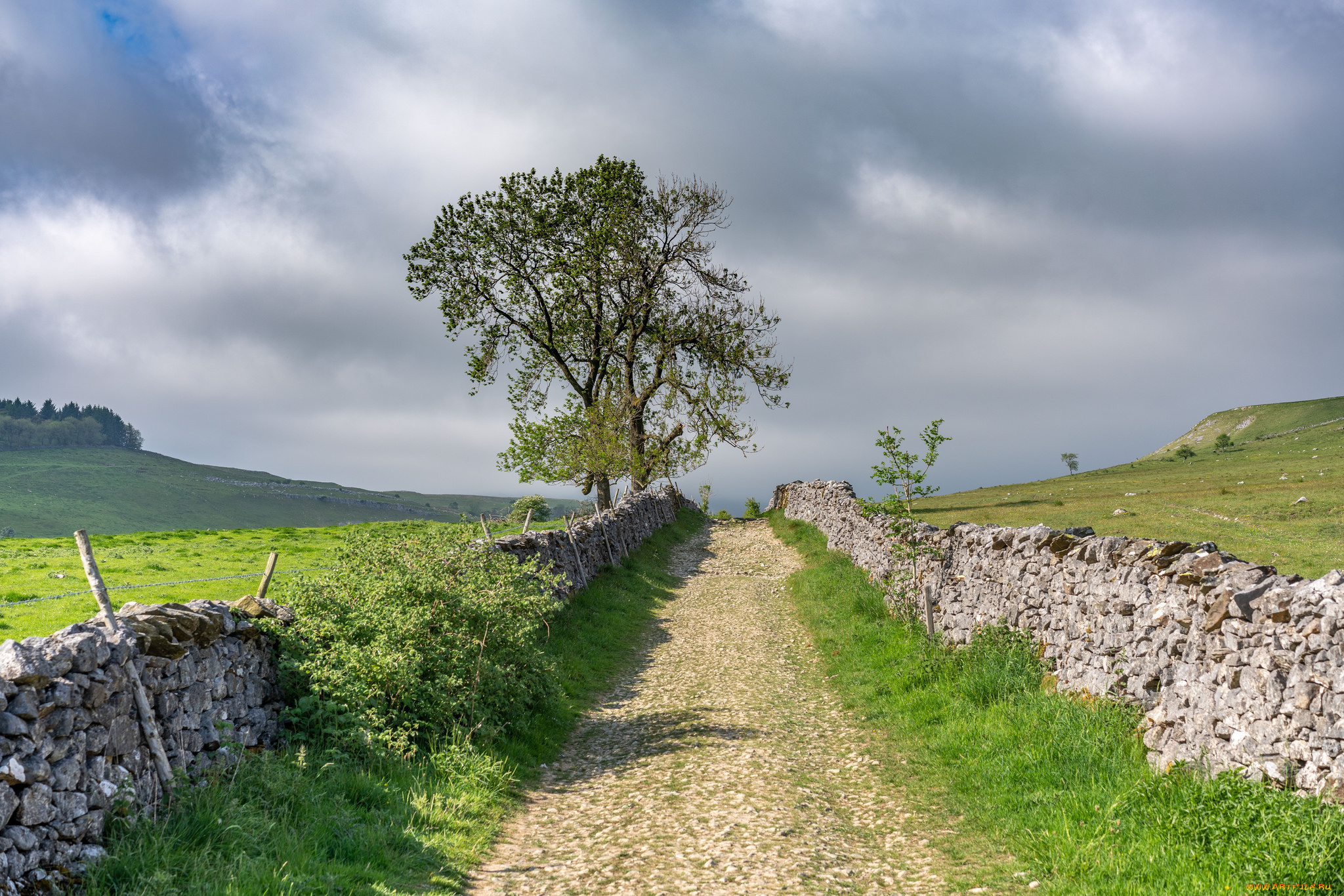 природа, дороги, простор