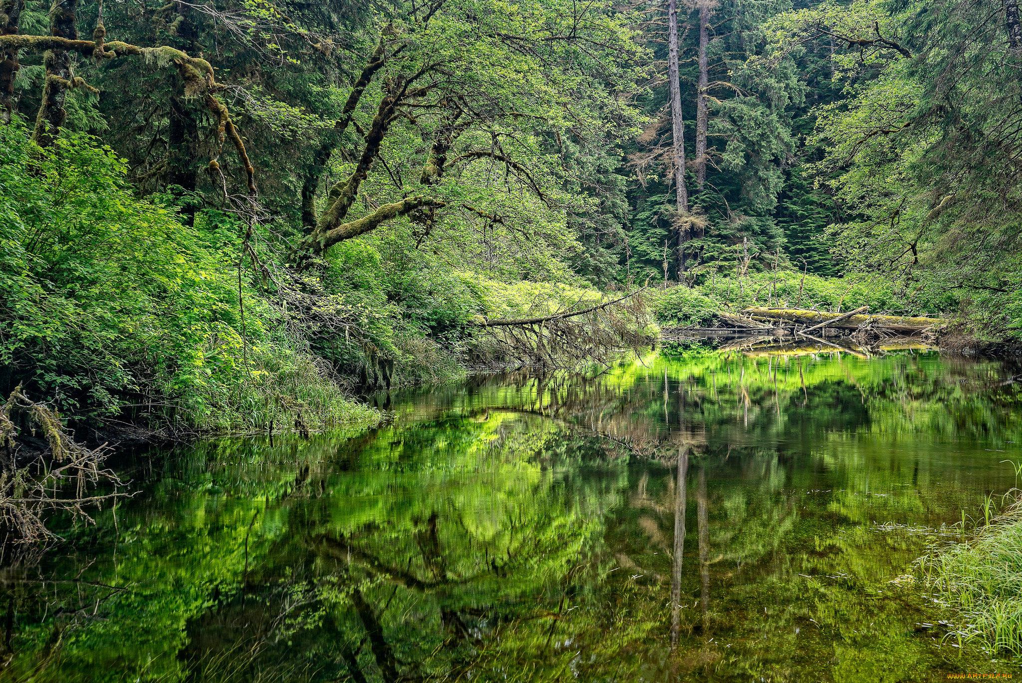 природа, реки, озера, простор