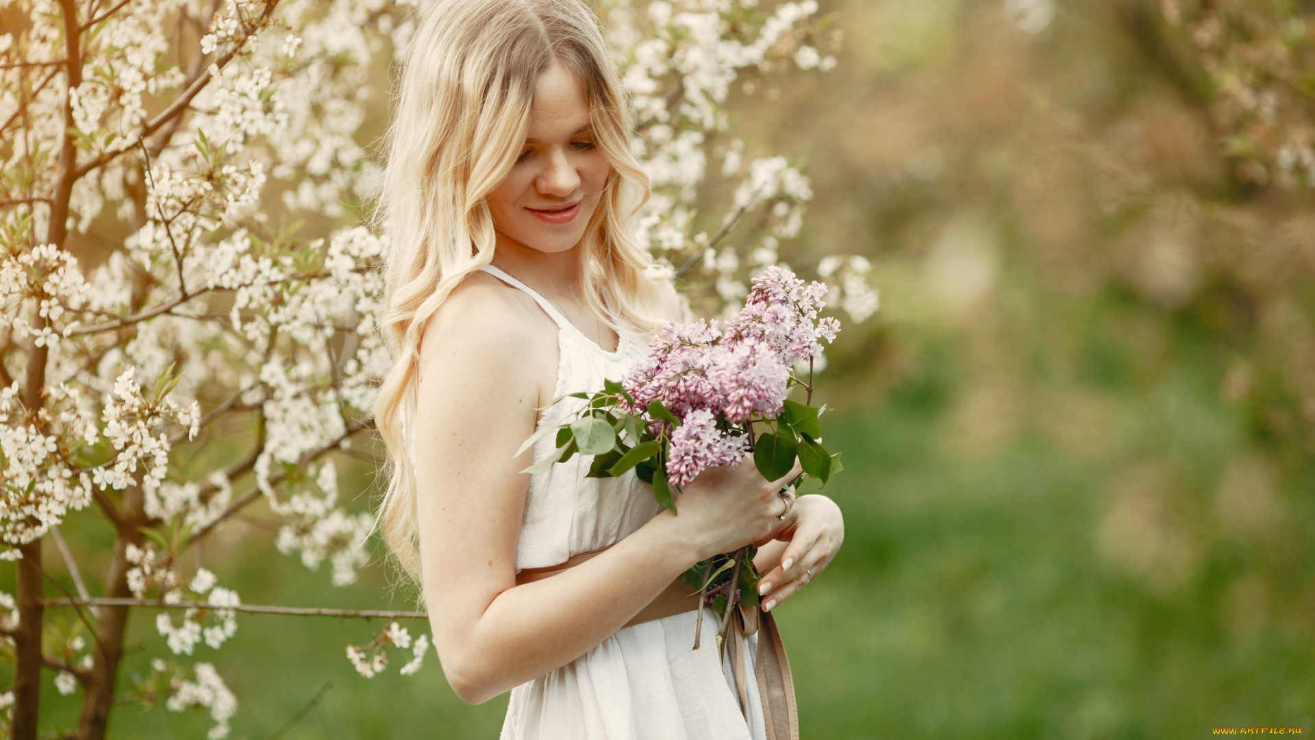 девушки, -, блондинки, , светловолосые, сирень, весна, цветущий, сад