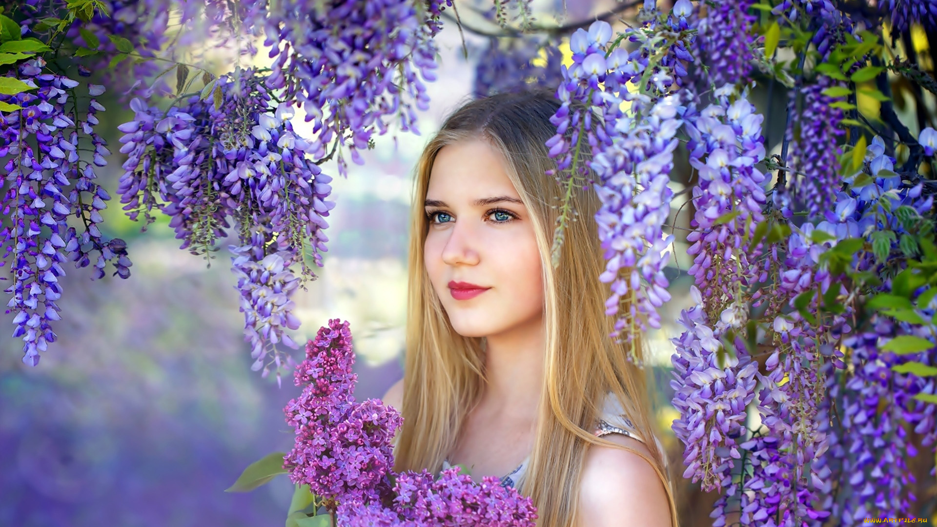 девушки, -, блондинки, , светловолосые, сирень, весна, глициния