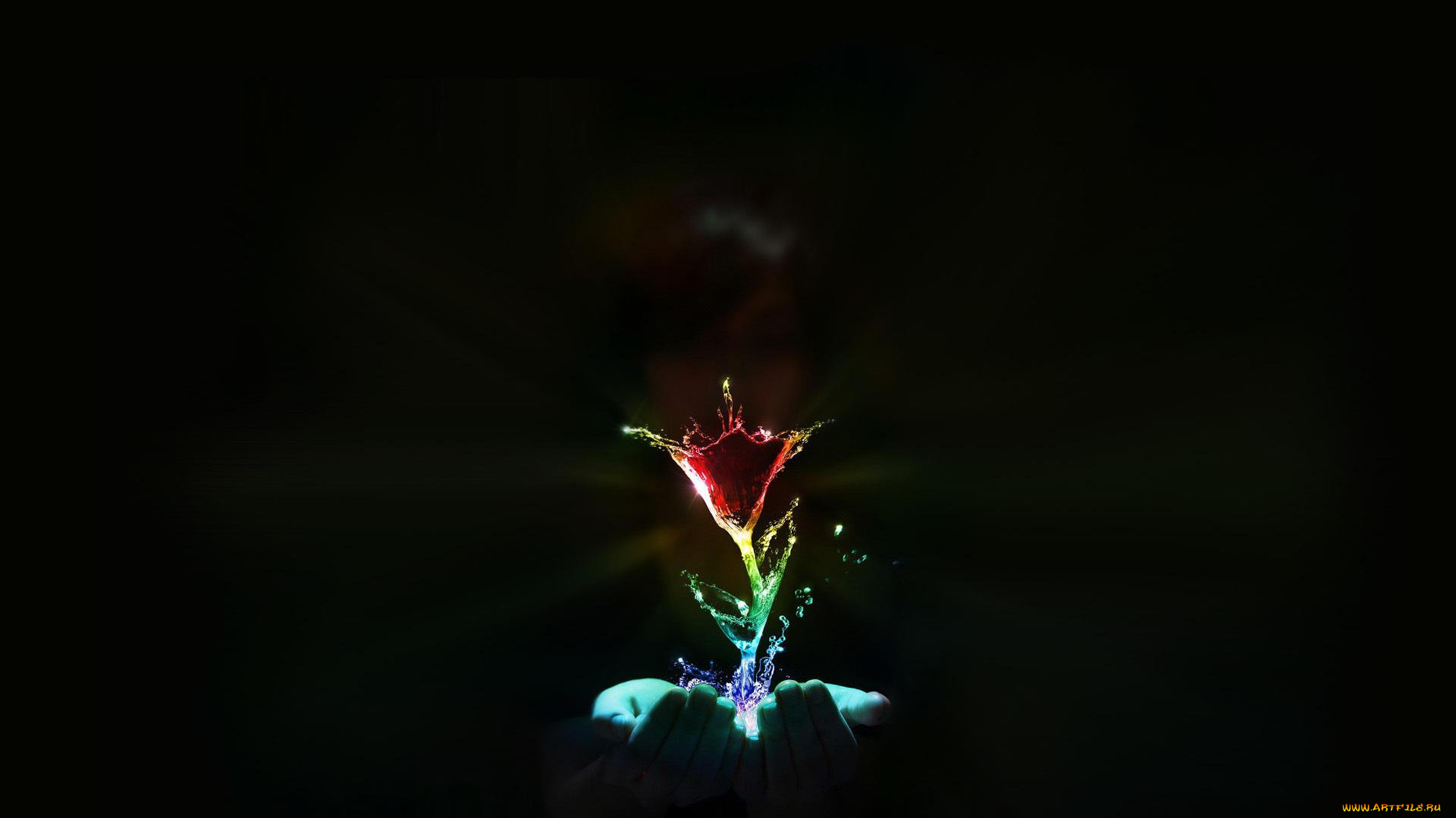 разное, компьютерный, дизайн, руки, цветок