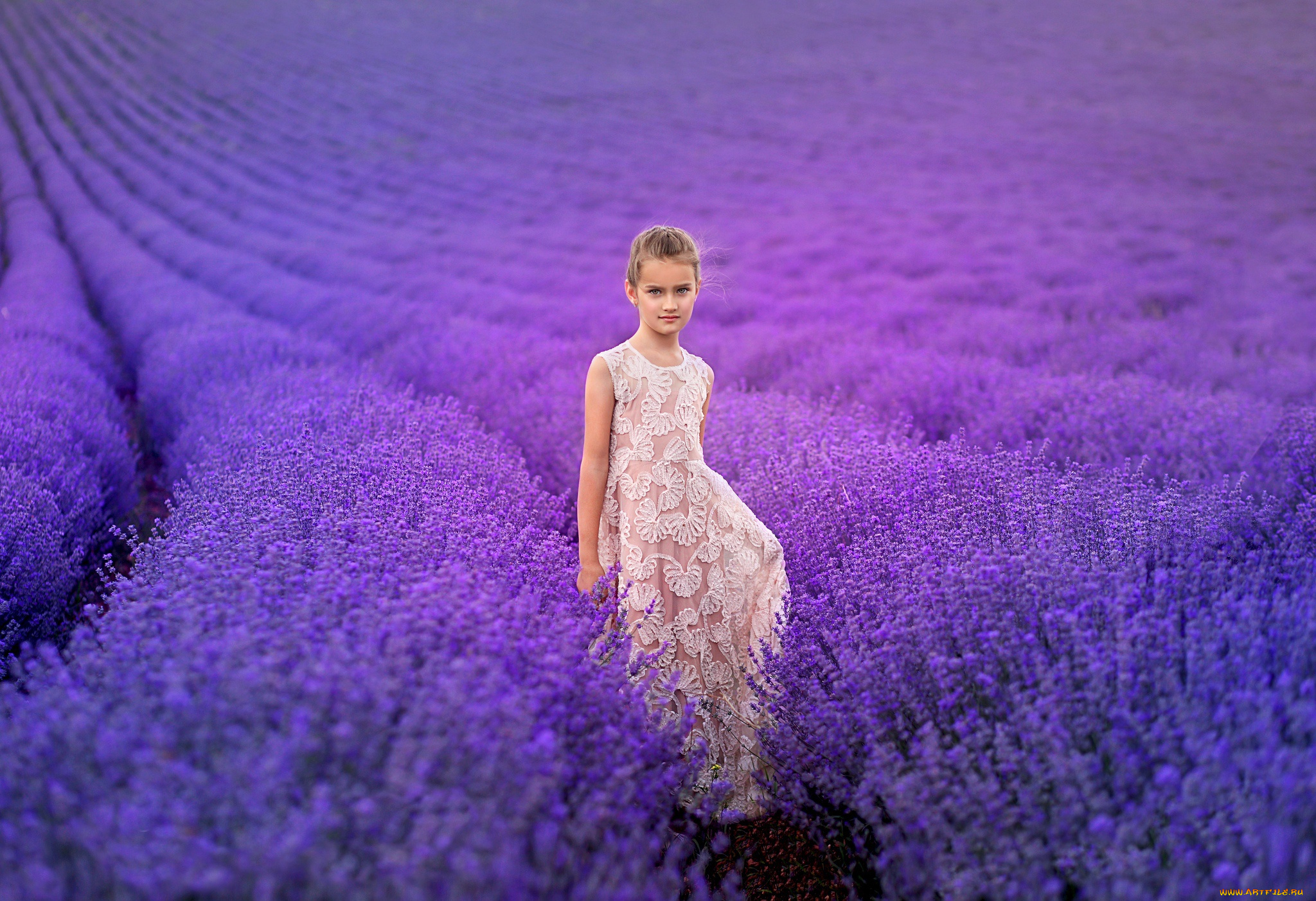 разное, дети, девочка, платье, поле, лаванда