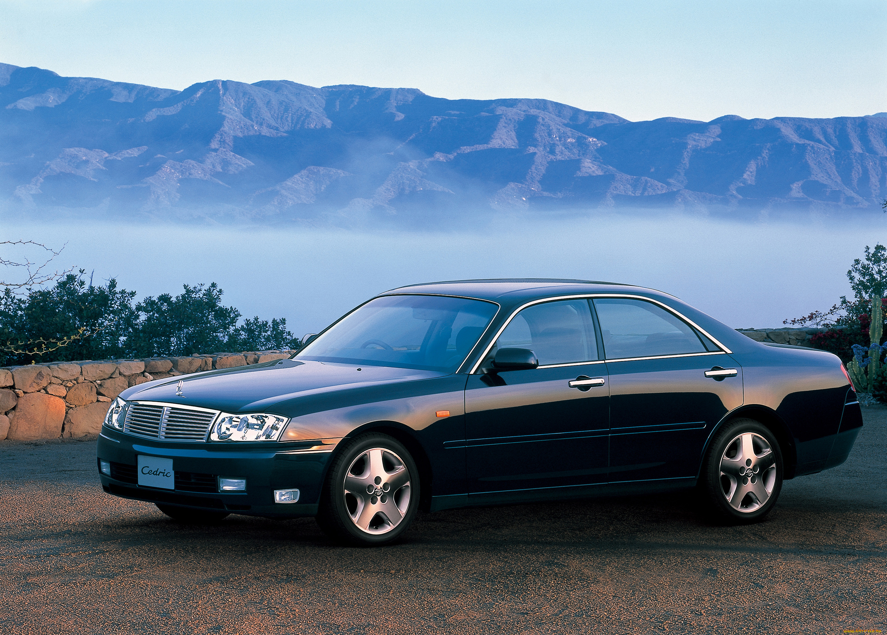 автомобили, nissan, datsun