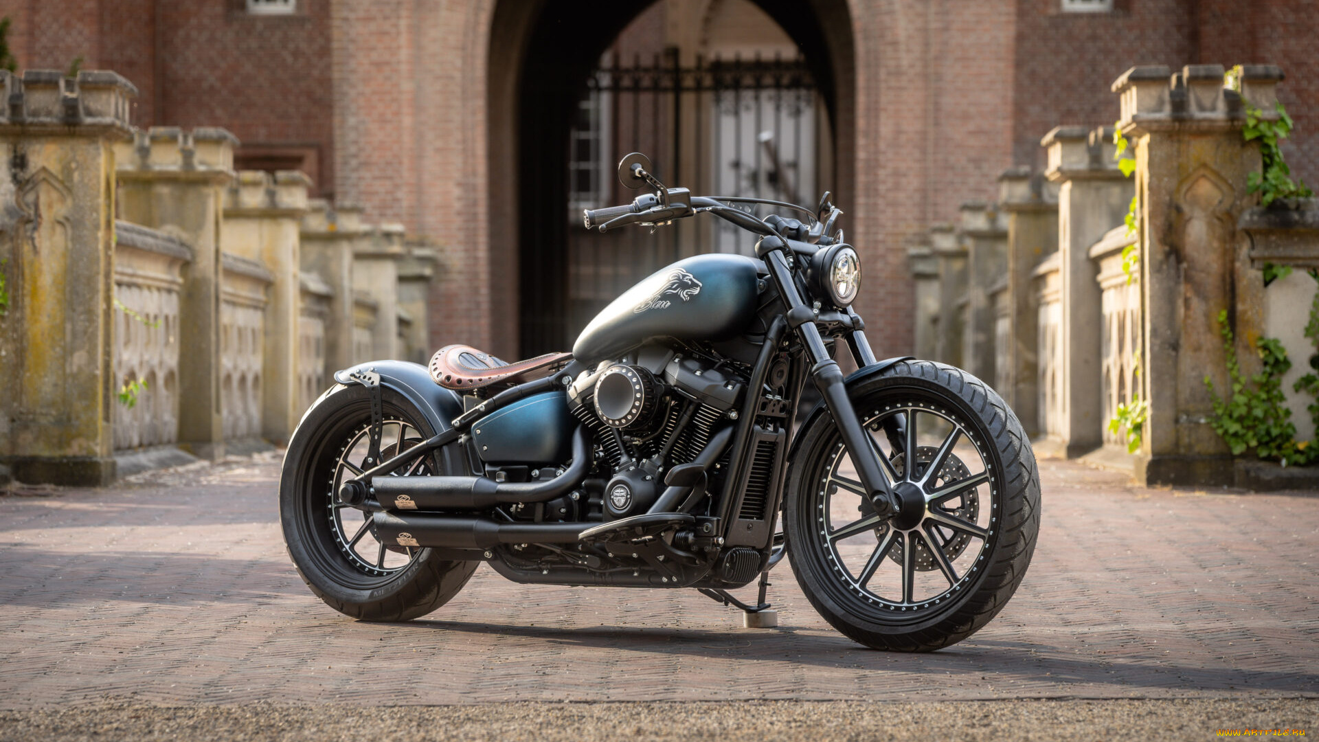 мотоциклы, harley-davidson, softail, street, bob, 114, customized, custombikes, blue, lion