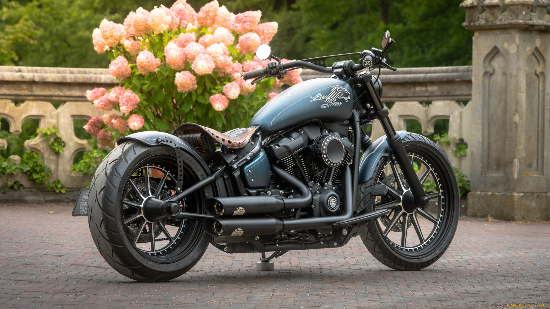 мотоциклы, harley-davidson, softail, street, bob, 114, customized, custombikes, blue, lion