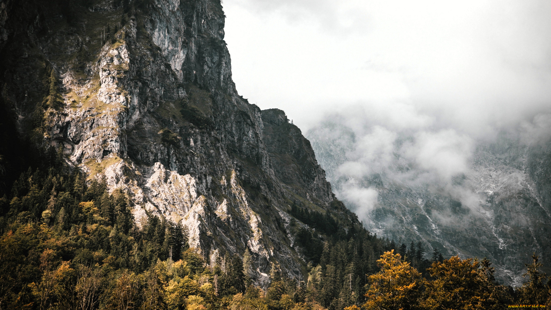природа, горы, облака, лес, деревья, осень