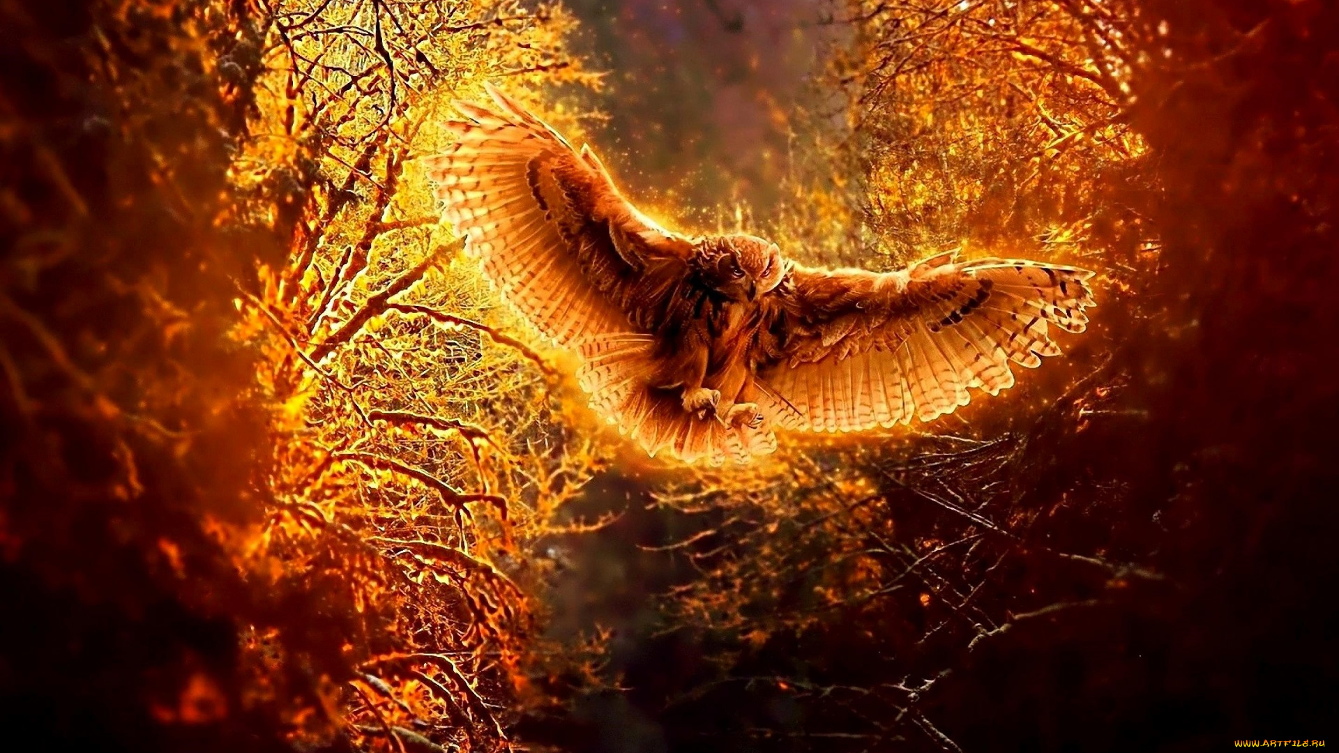 разное, компьютерный, дизайн, сова, полет, птица, лес