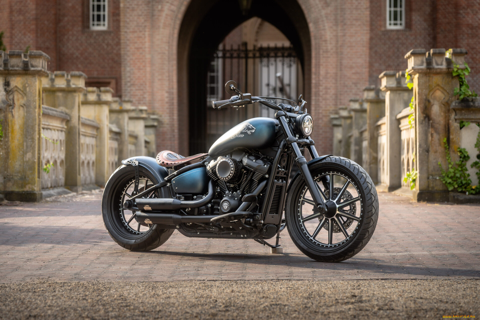 мотоциклы, harley-davidson, softail, street, bob, 114, customized, custombikes, blue, lion