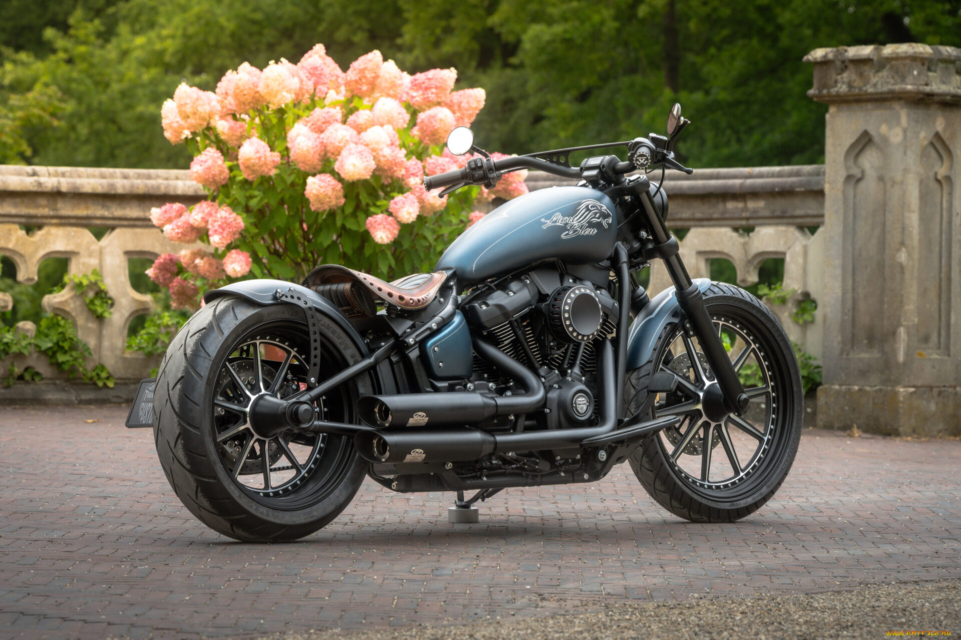 мотоциклы, harley-davidson, softail, street, bob, 114, customized, custombikes, blue, lion