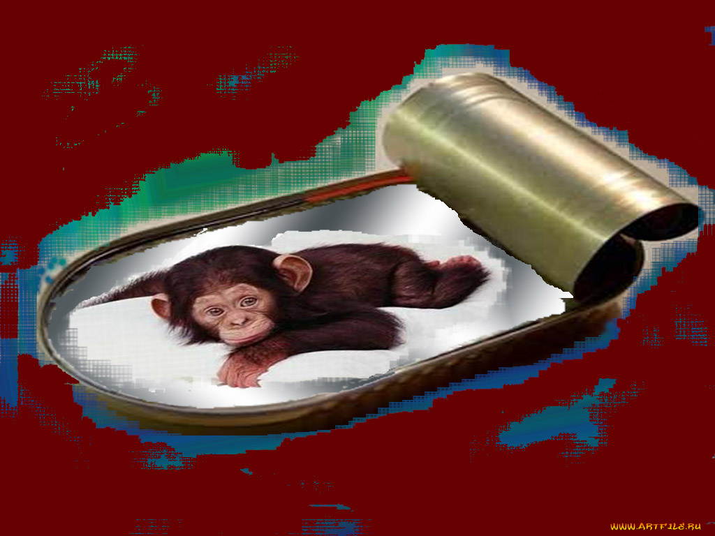 чебурашка, масле, юмор, приколы