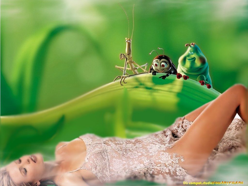 юмор, приколы