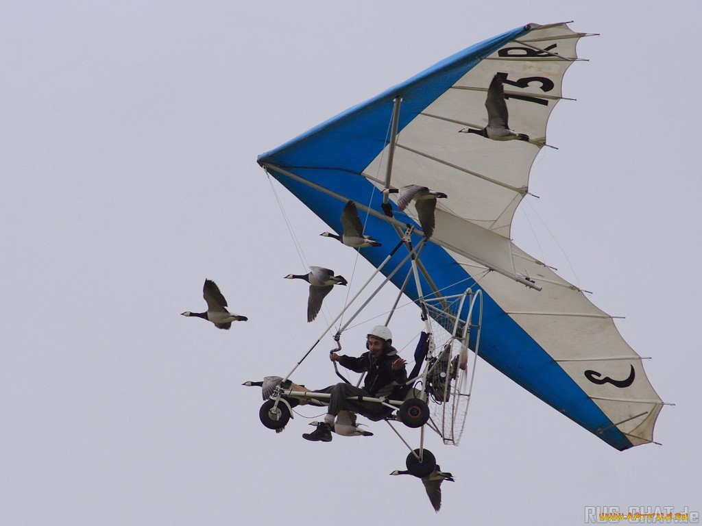 авиация, другое