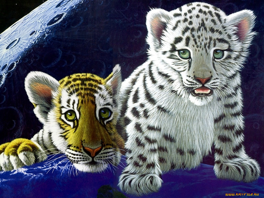 фэнтези, william, schimmel