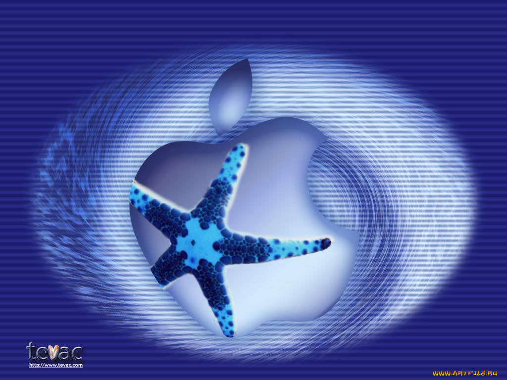 компьютеры, apple